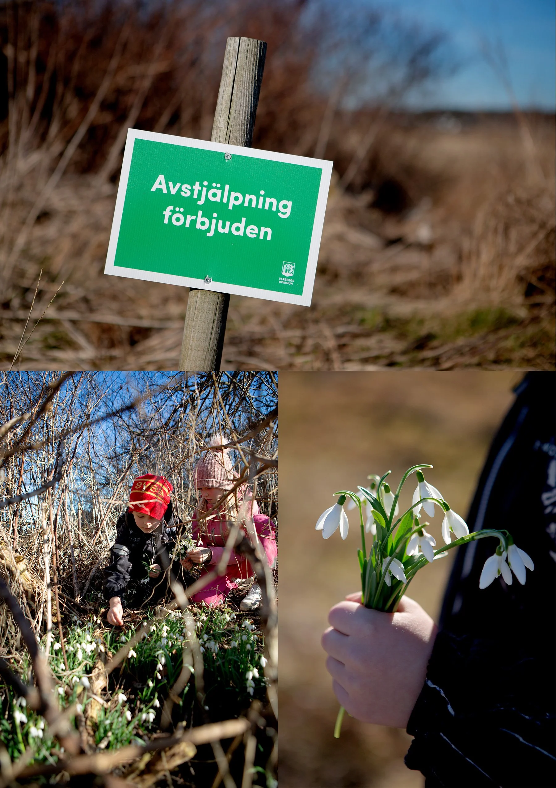 Avstjälpning förbjuden