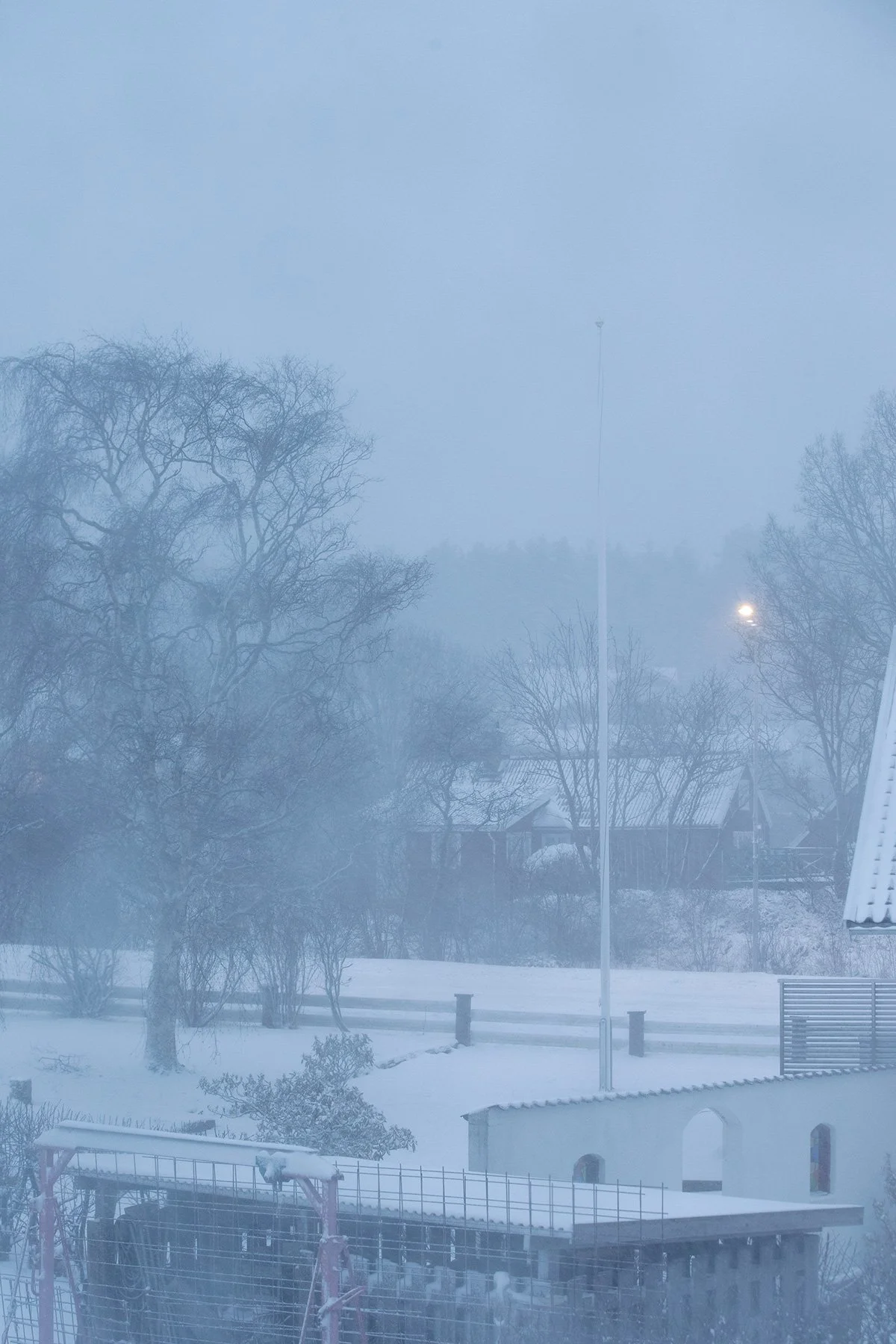 blogg-230307snostormsmorgonruben2.jpg