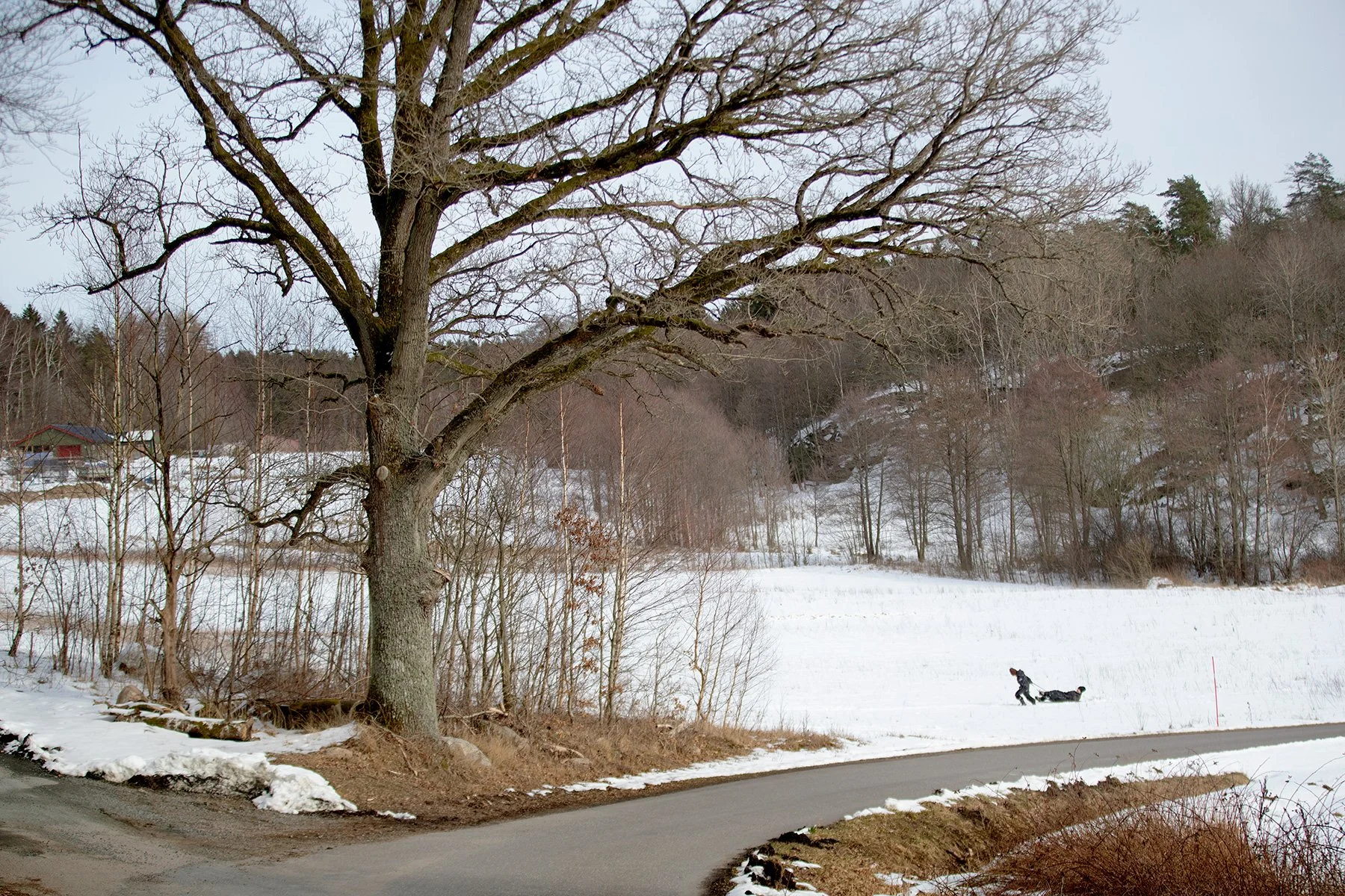 blogg-230312ambjorntorpsno10.jpg