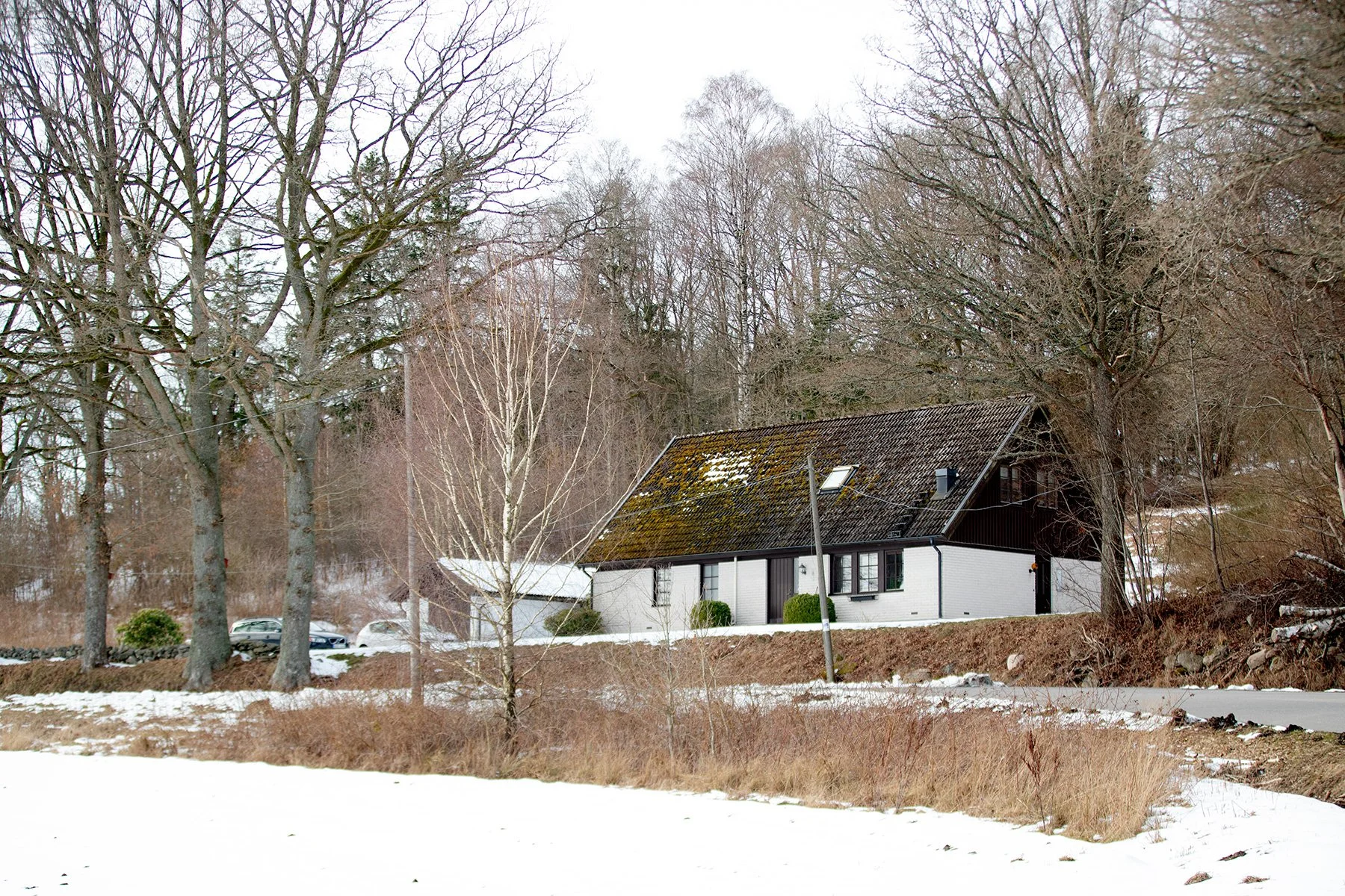 blogg-230312ambjorntorpsno20.jpg