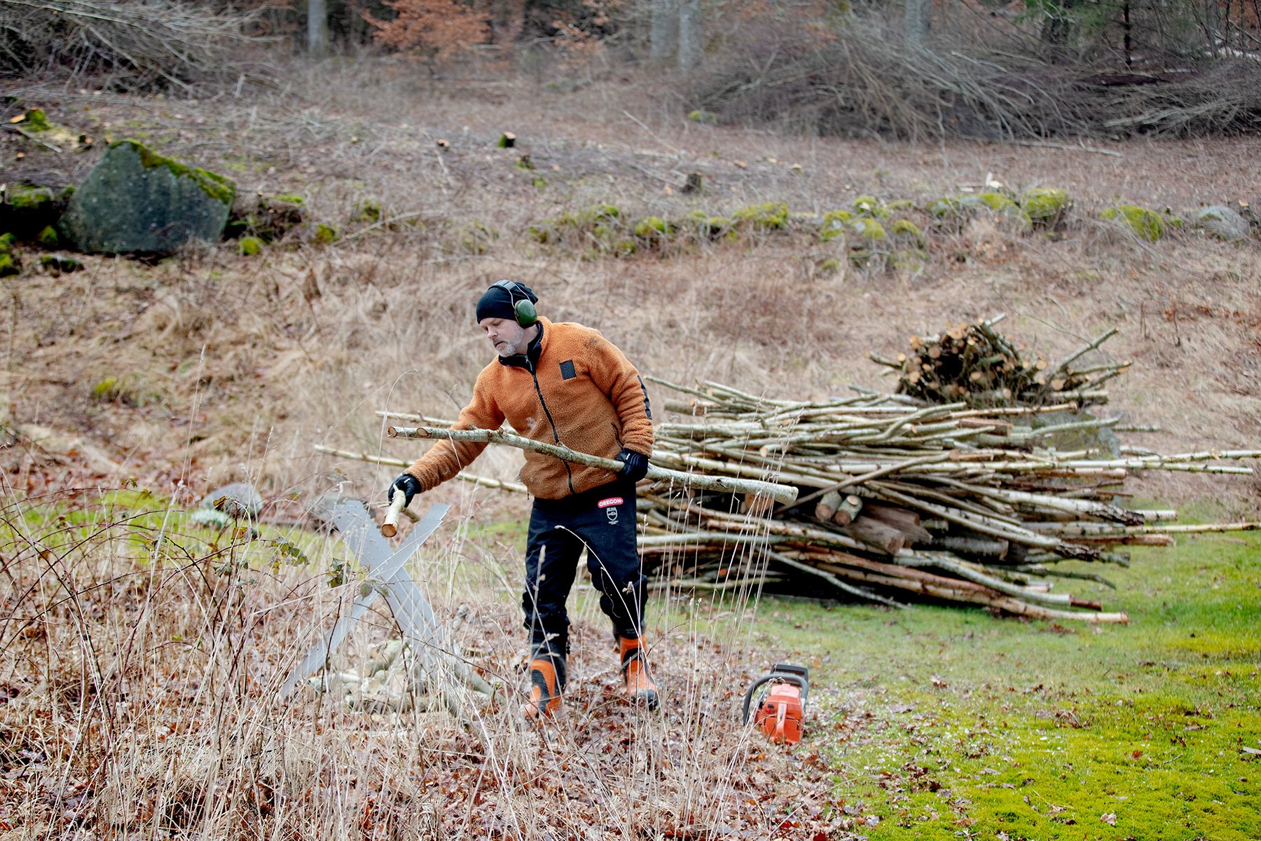 blogg-230318ambjorntorpfix7.jpg