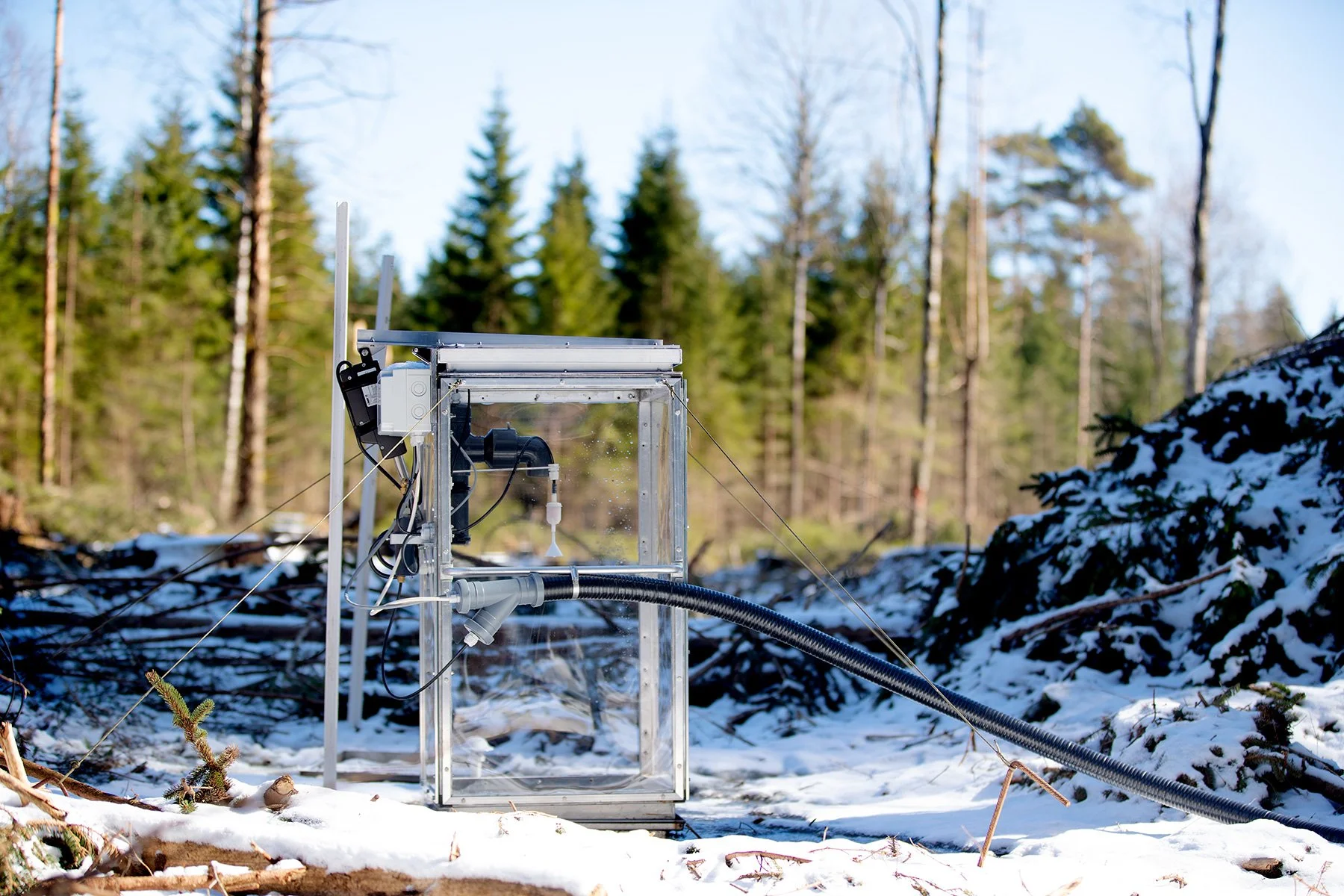 blogg-230328skogaryd4.jpg