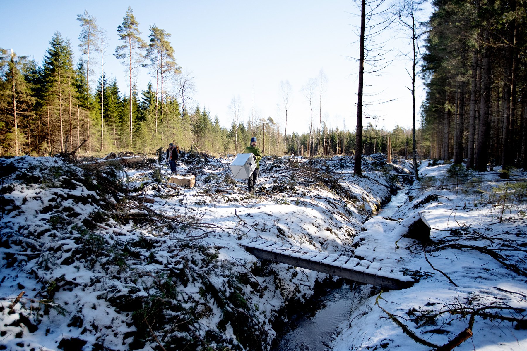 blogg-230328skogaryd15.jpg
