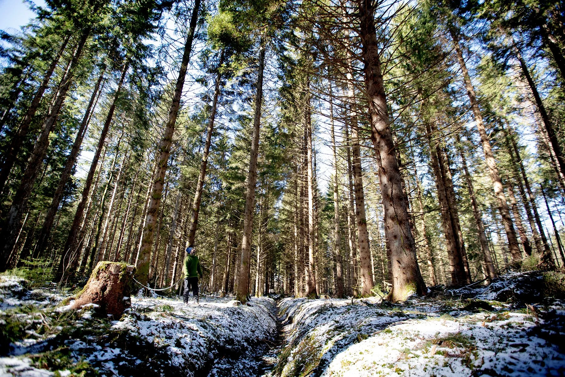blogg-230328skogaryd17.jpg