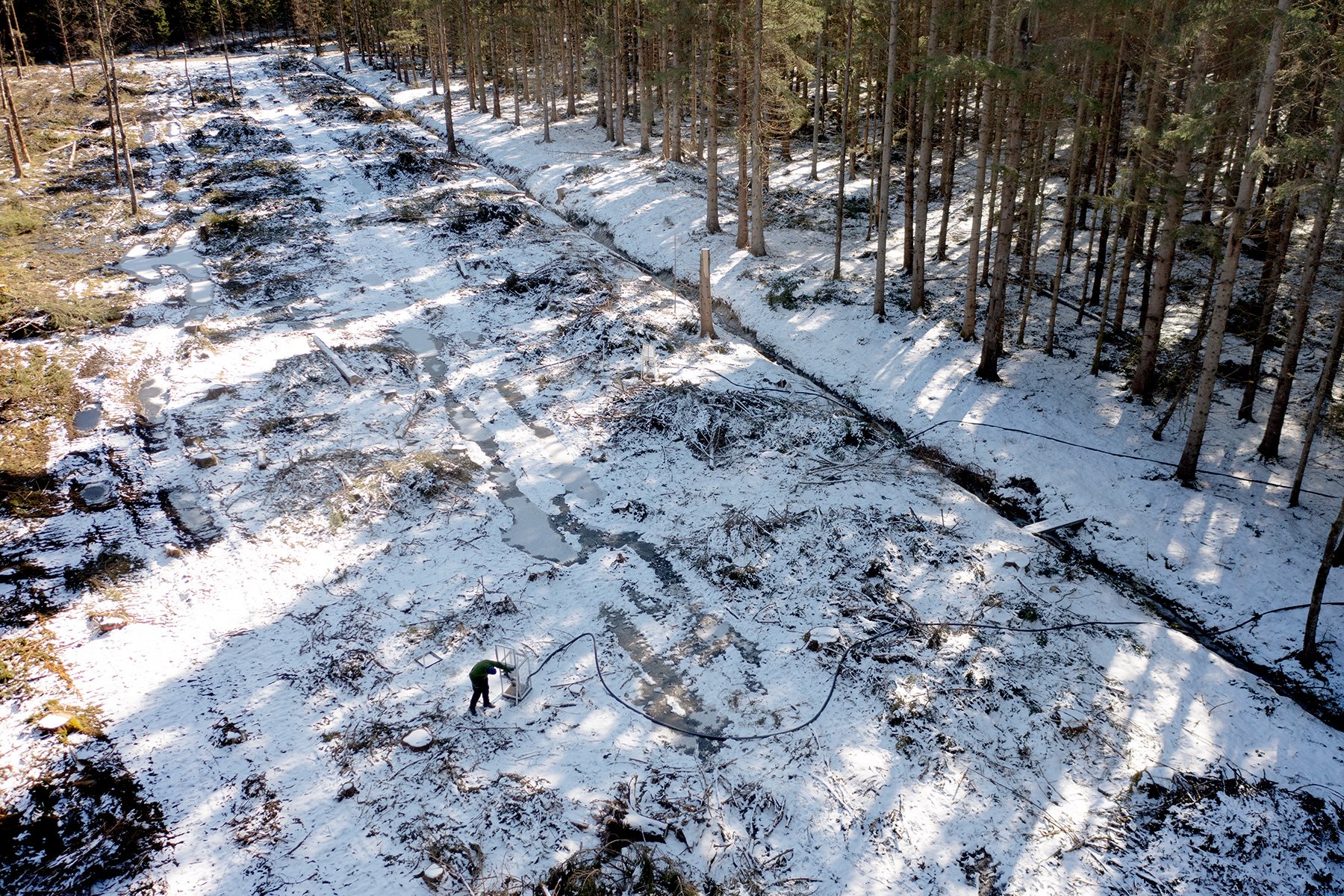 blogg-230328skogaryd20.jpg