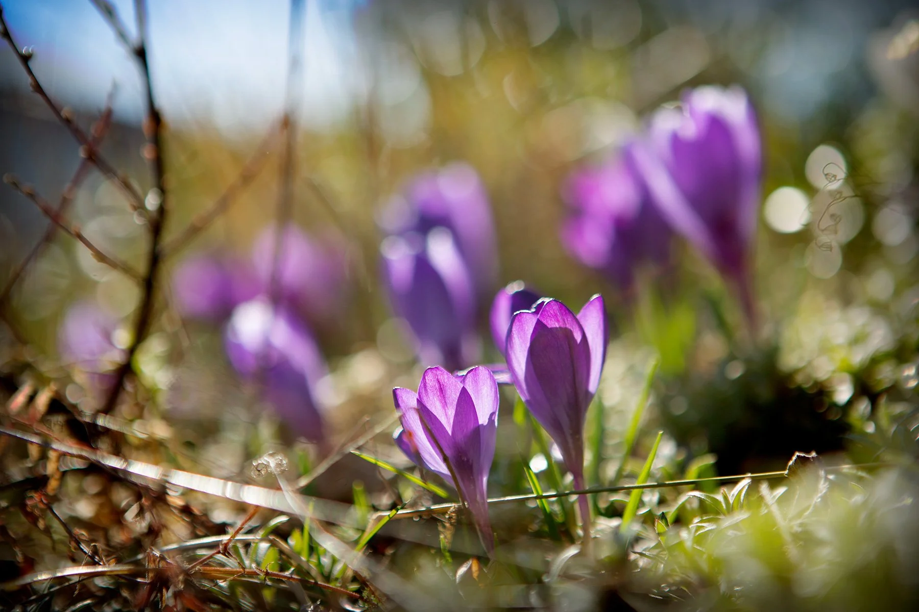 blogg-230403solbale1.jpg