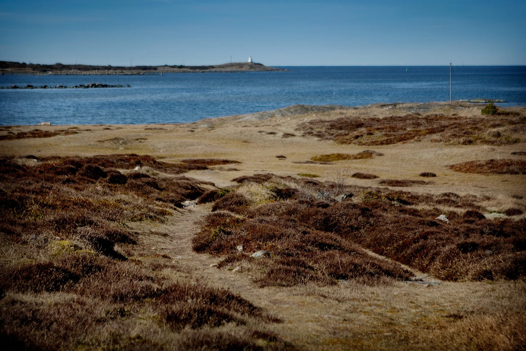 blogg-230403solbale5.jpg