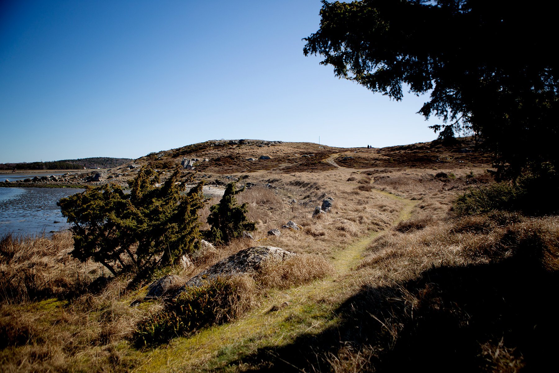 blogg-230403solbale6.jpg