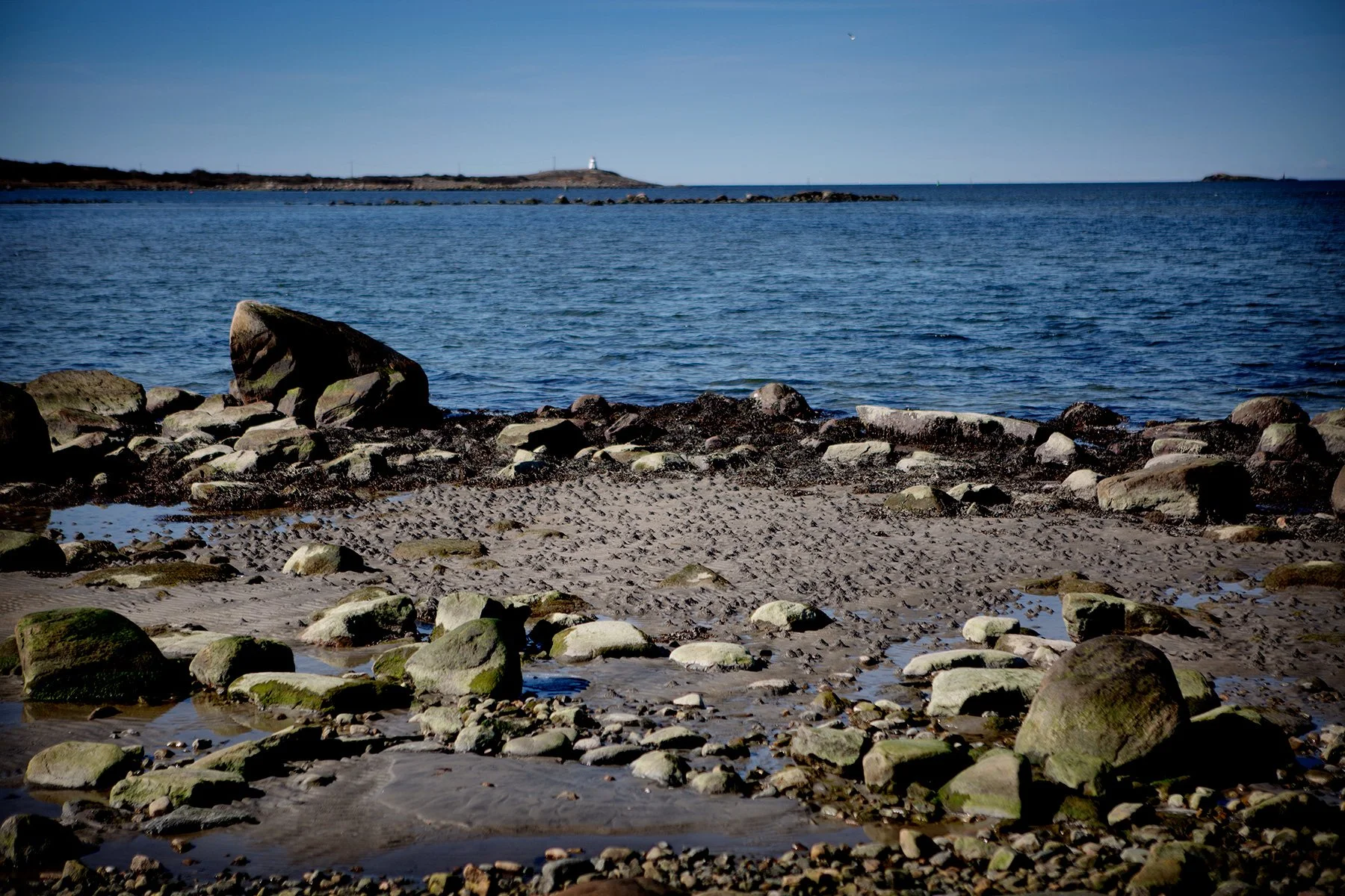 blogg-230403solbale10.jpg