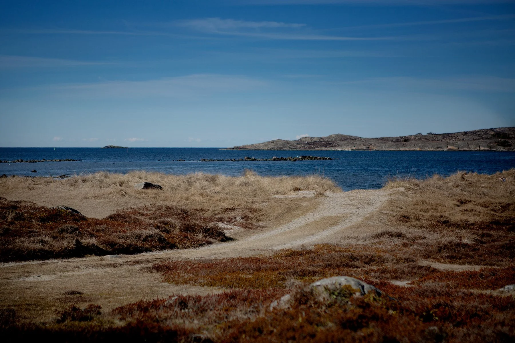 blogg-230403solbale15.jpg