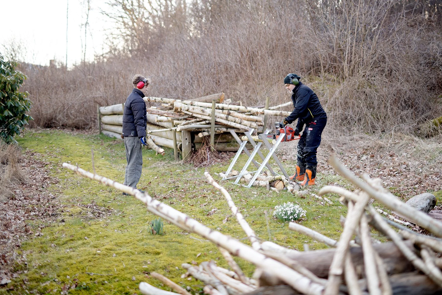 blogg-230403vediambjorntorp1.jpg