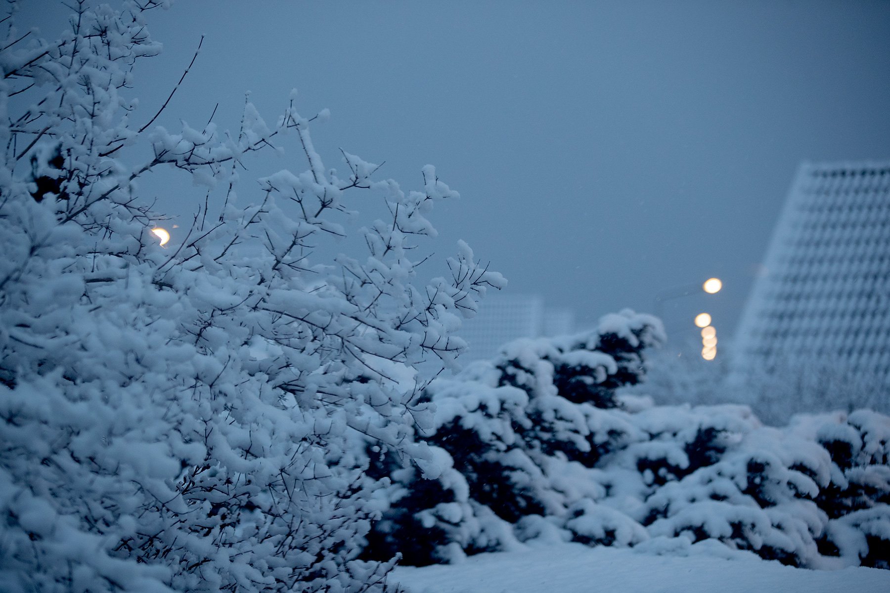 blogg-230406snomorgon1.jpg