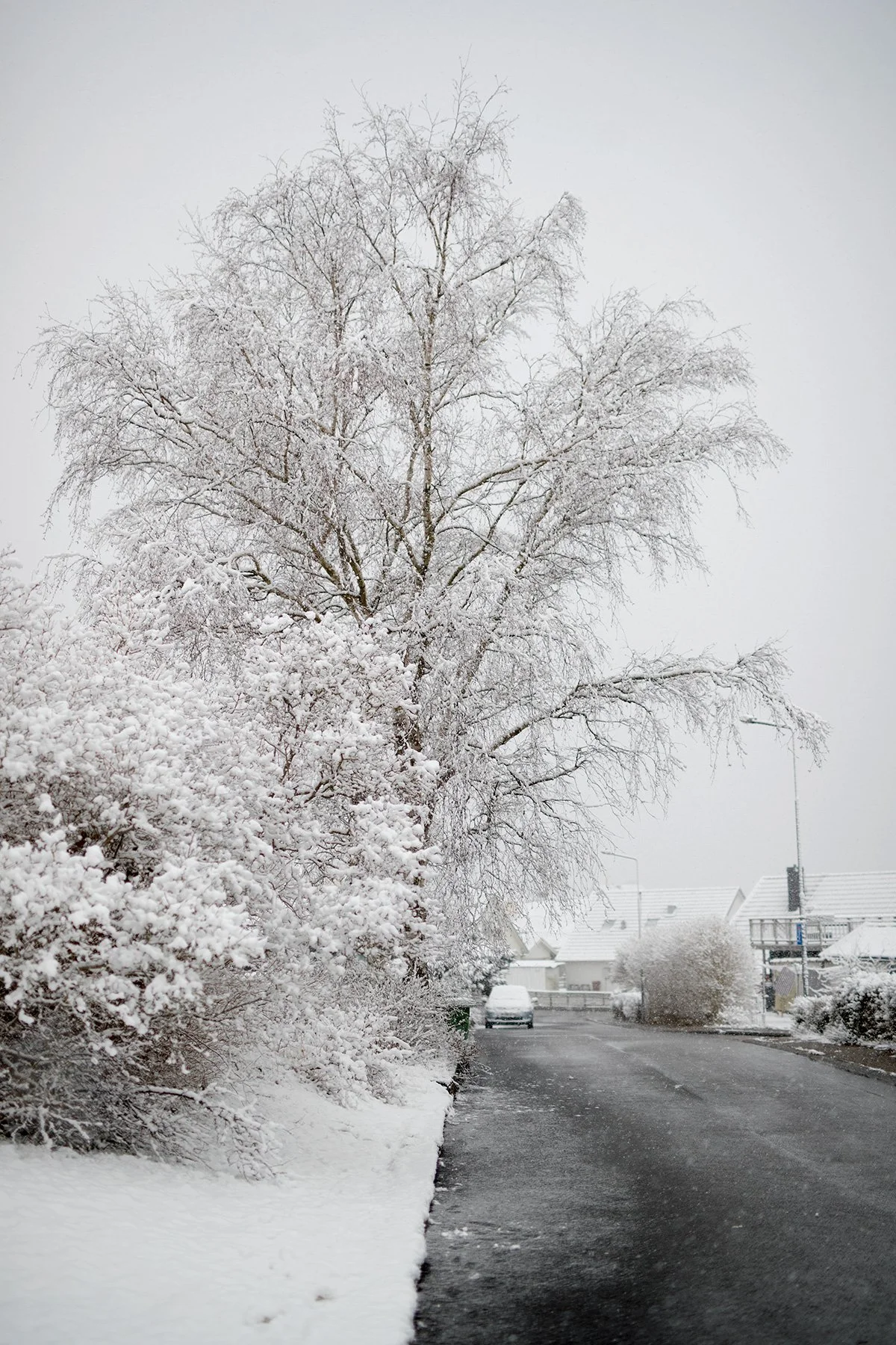 blogg-230406snomorgon12.jpg