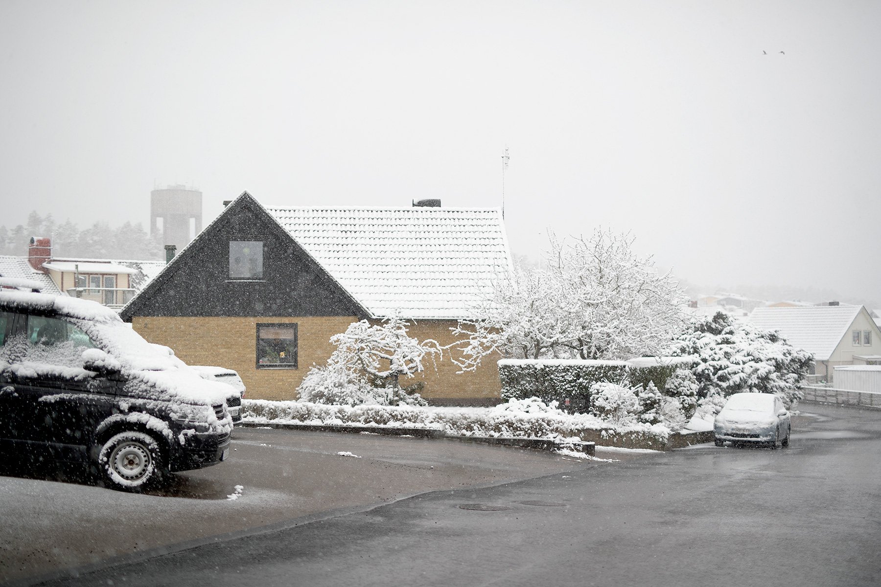 blogg-230406snomorgon13.jpg