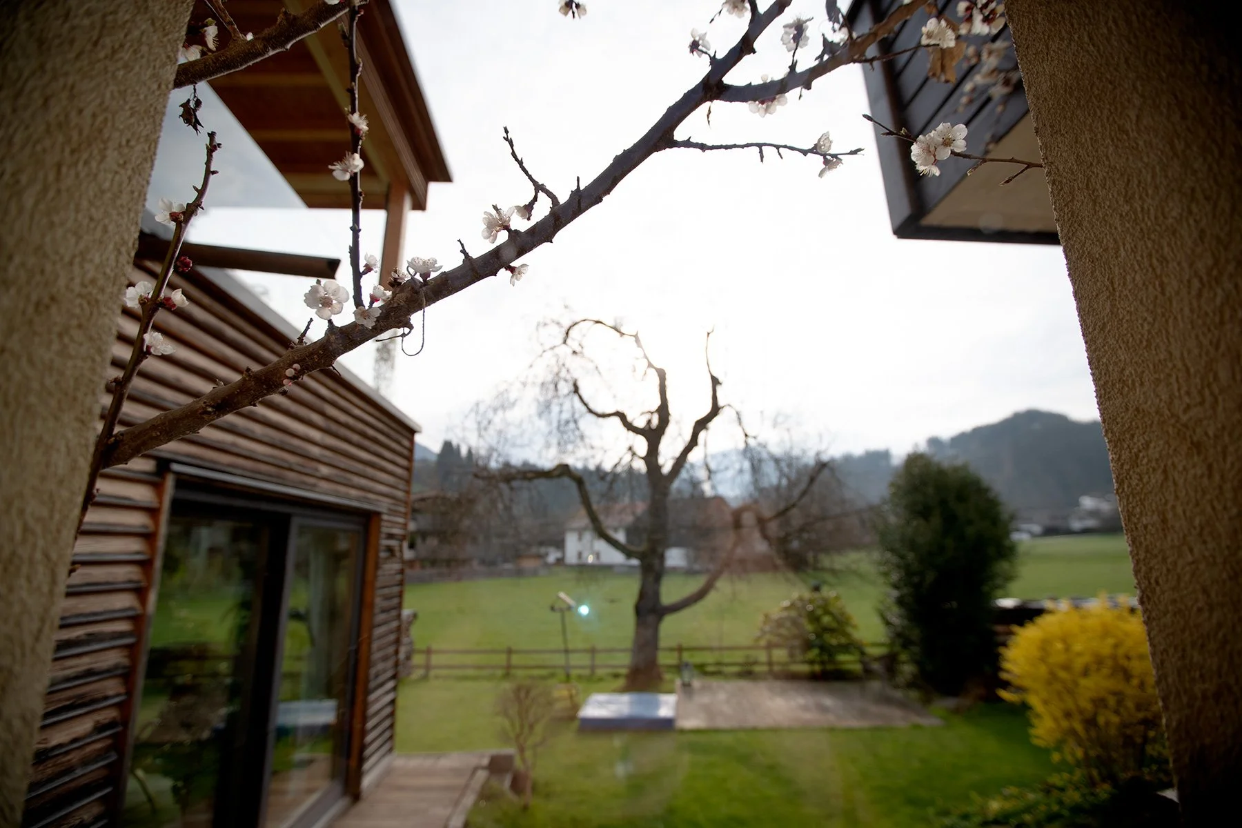 blogg-230408regnwestendorfaggfarg1.jpg