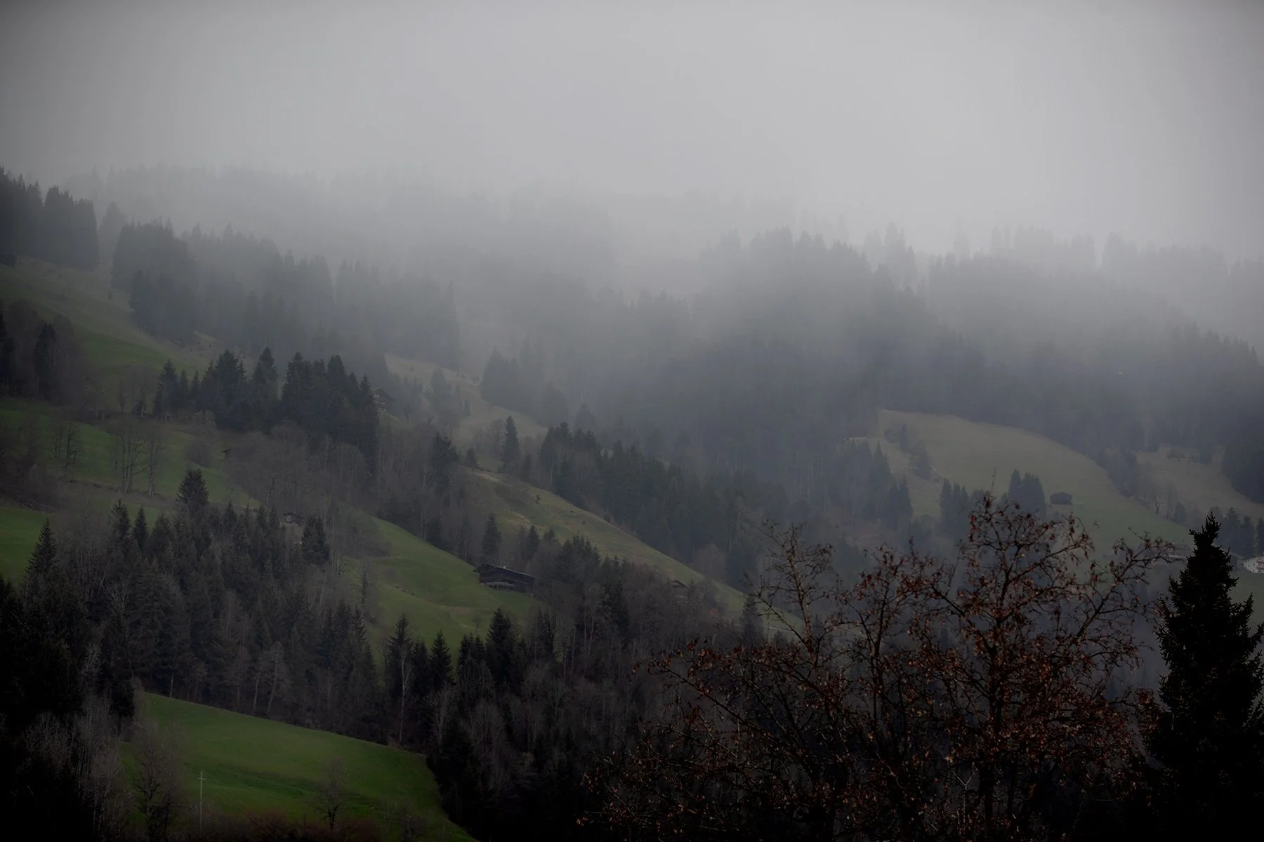 blogg-230408regnwestendorfaggfarg6.jpg
