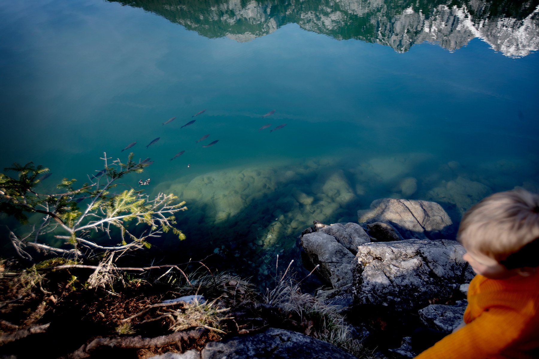 blogg-230410hintersteinersee46.jpg