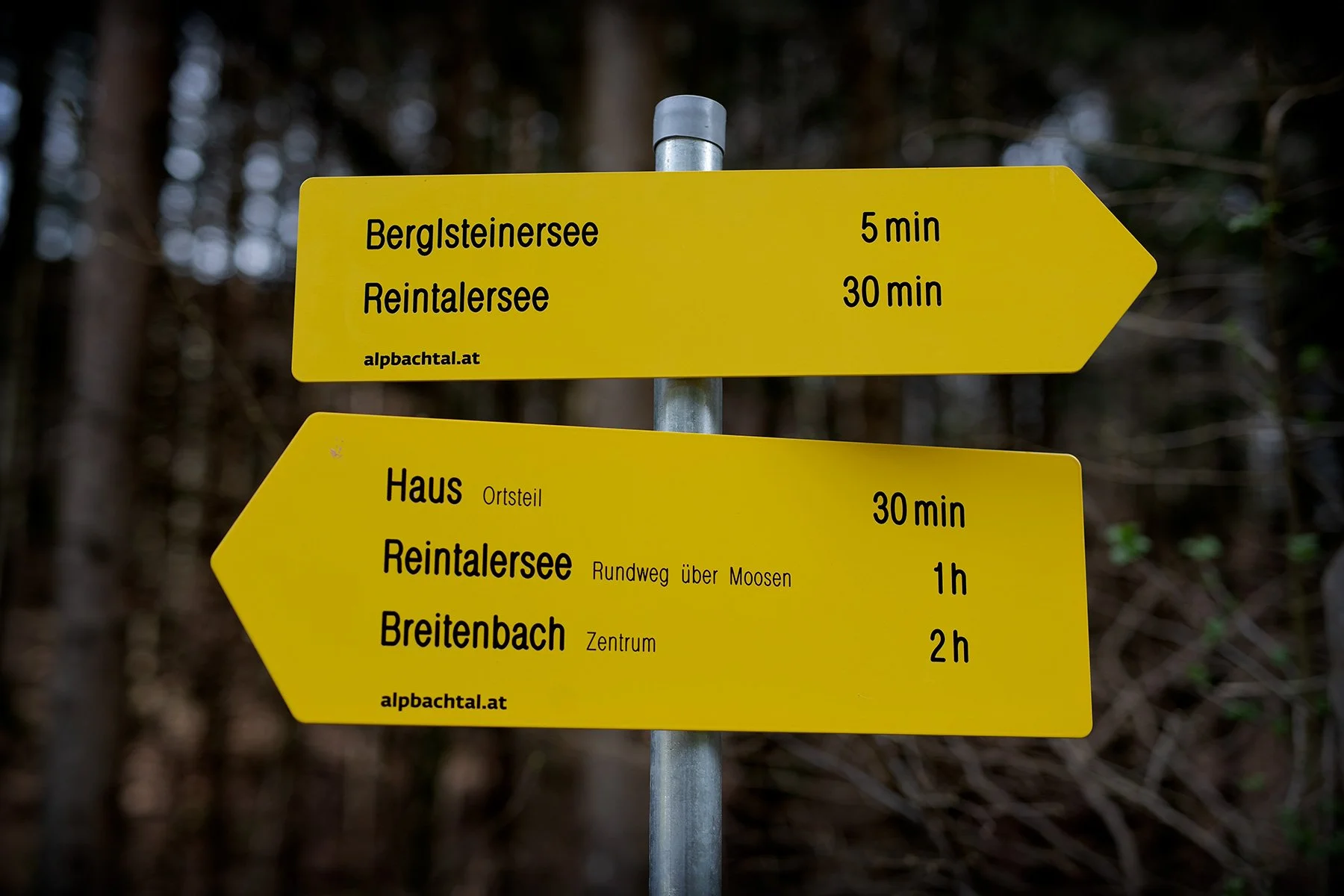 blogg-230412berglsteinersee3.jpg