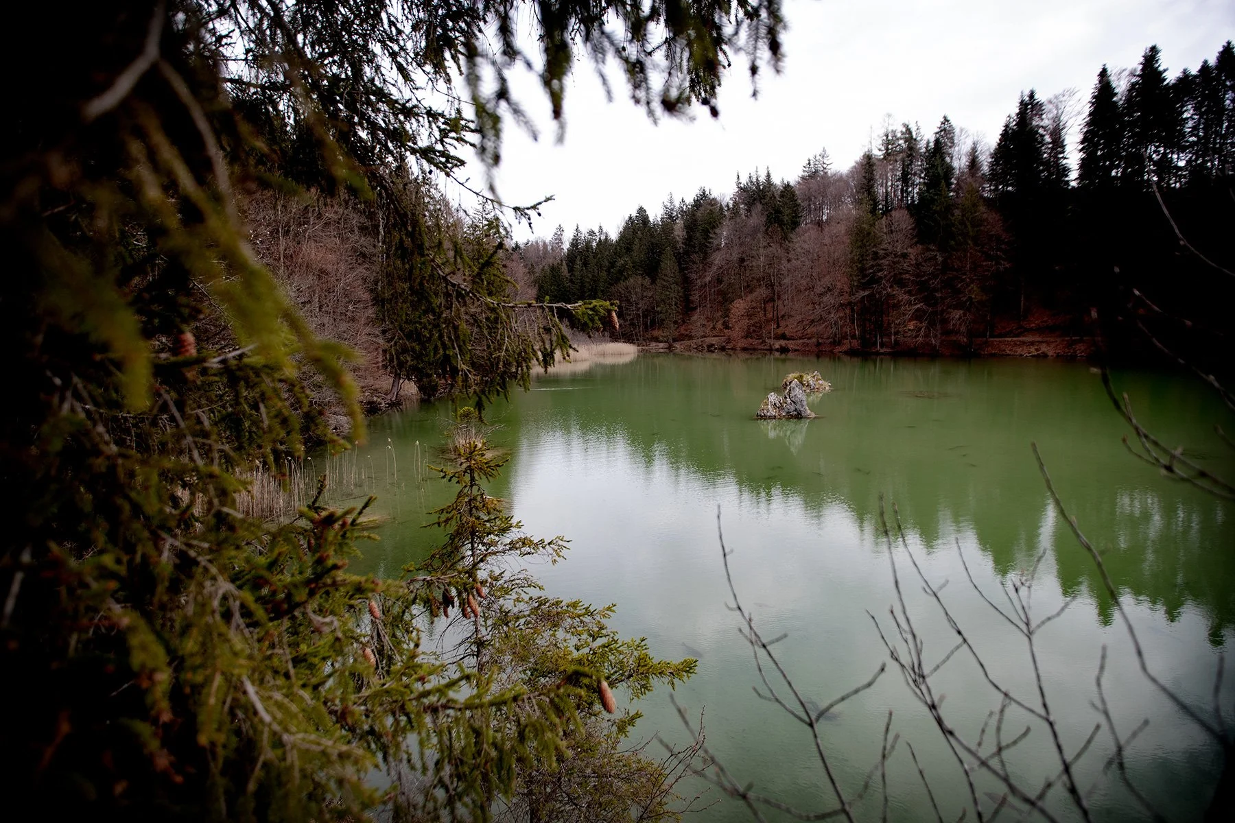 blogg-230412berglsteinersee9.jpg
