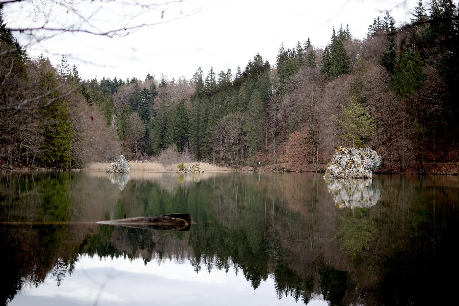 blogg-230412berglsteinersee12.jpg