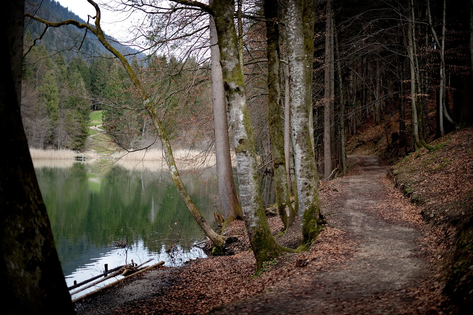 blogg-230412berglsteinersee18.jpg