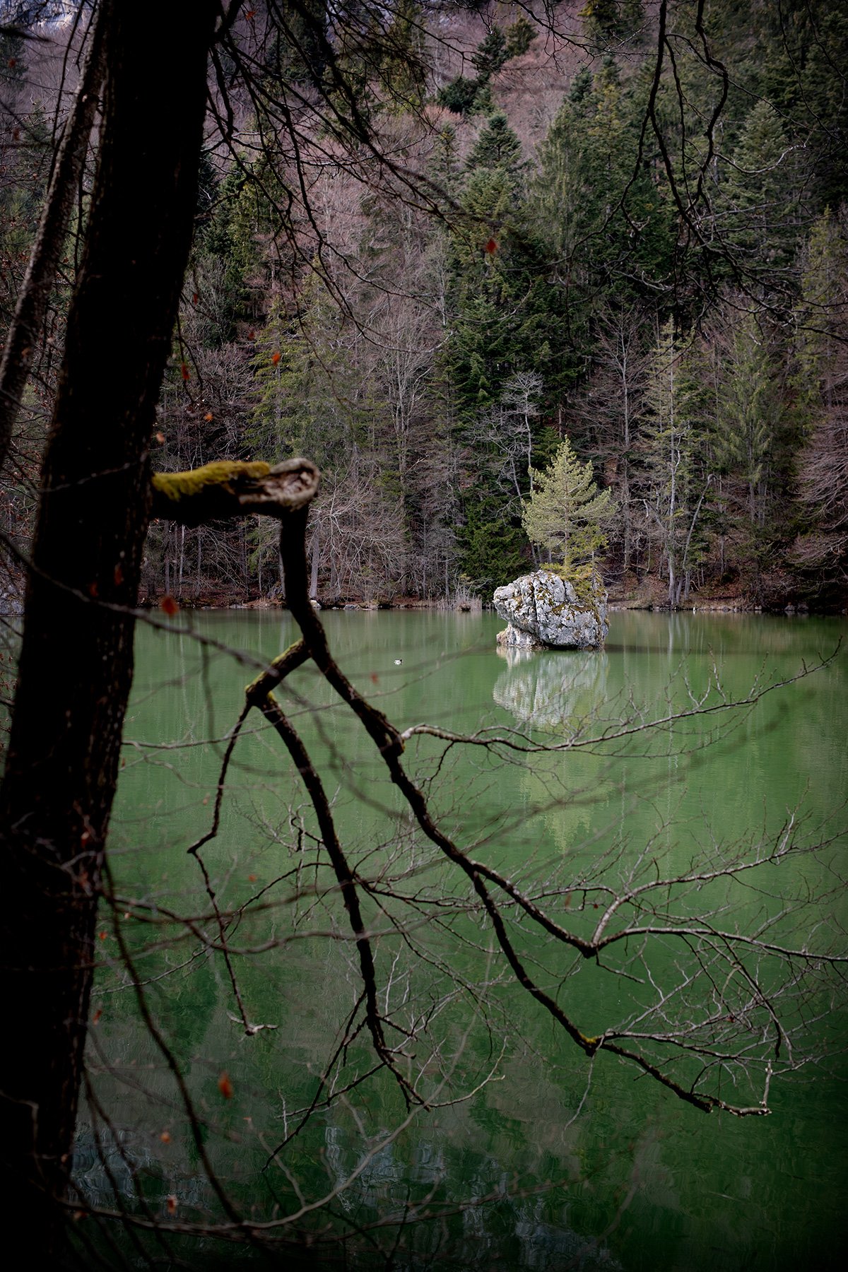 blogg-230412berglsteinersee19.jpg