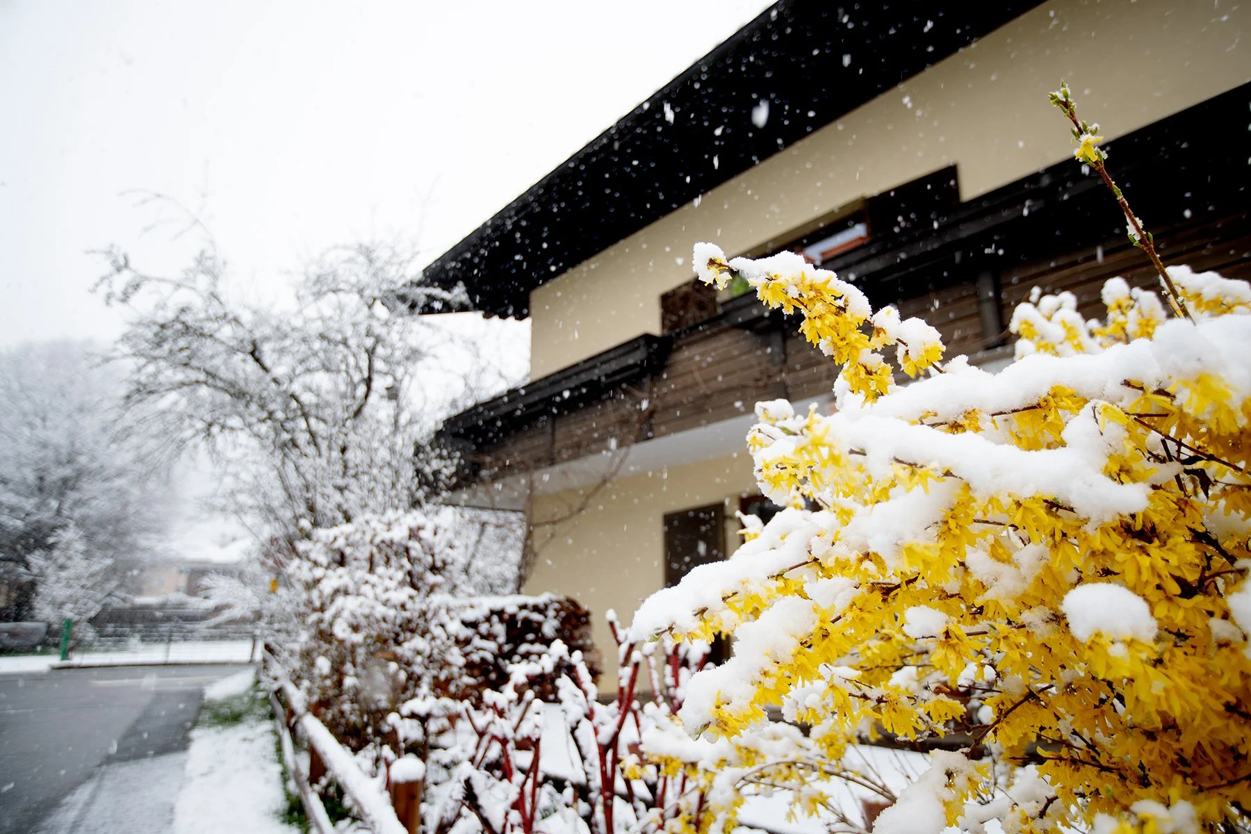 blogg-230414snopaelsbethen25-12.jpg