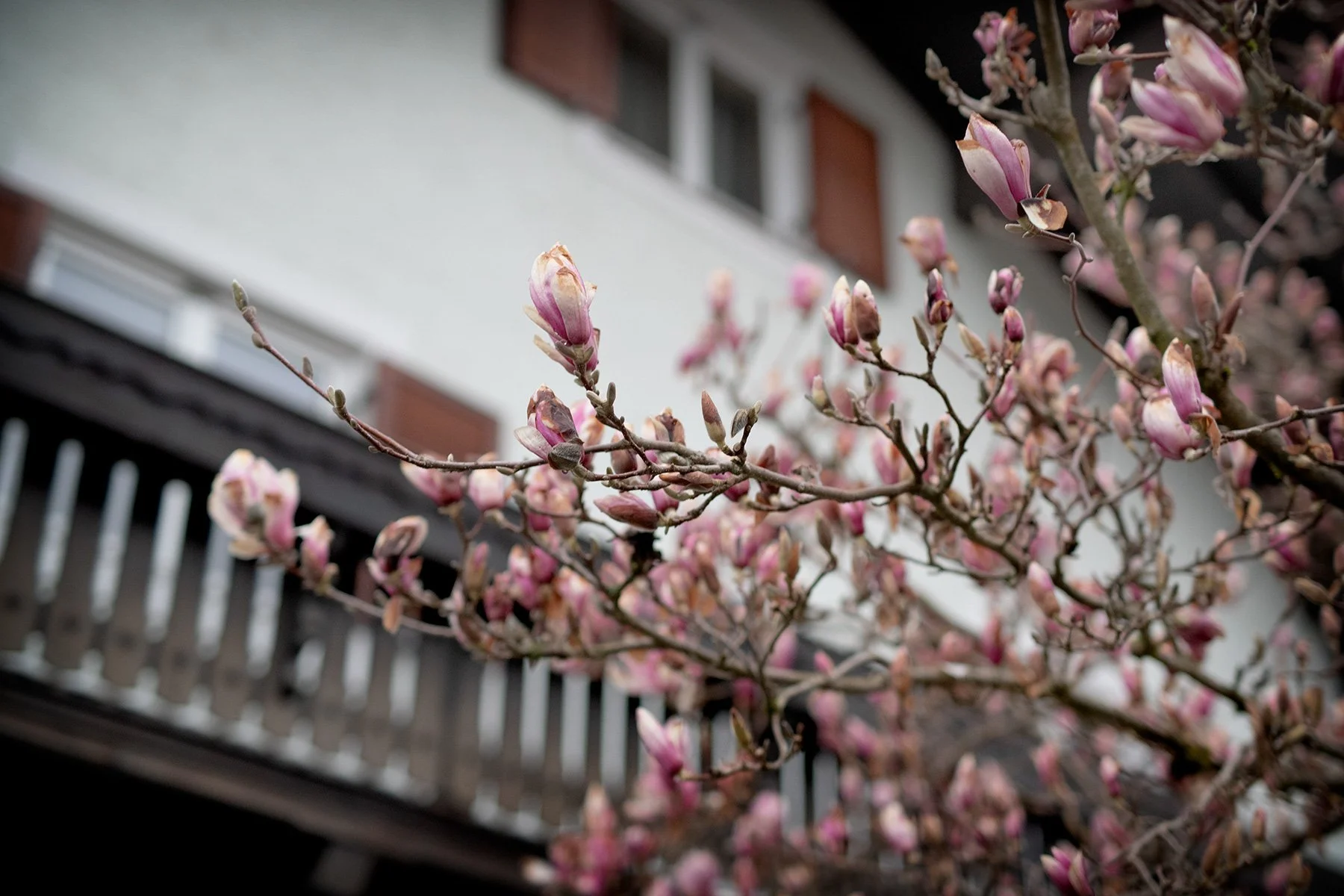 blogg-230414sistakvallenihopfgarten4.jpg