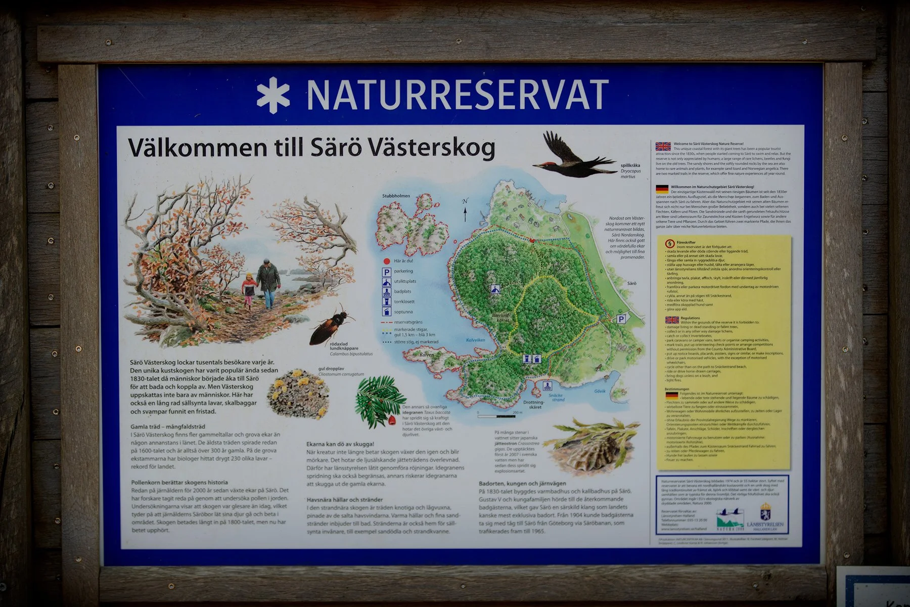blogg-230428sarovasterskog1.jpg