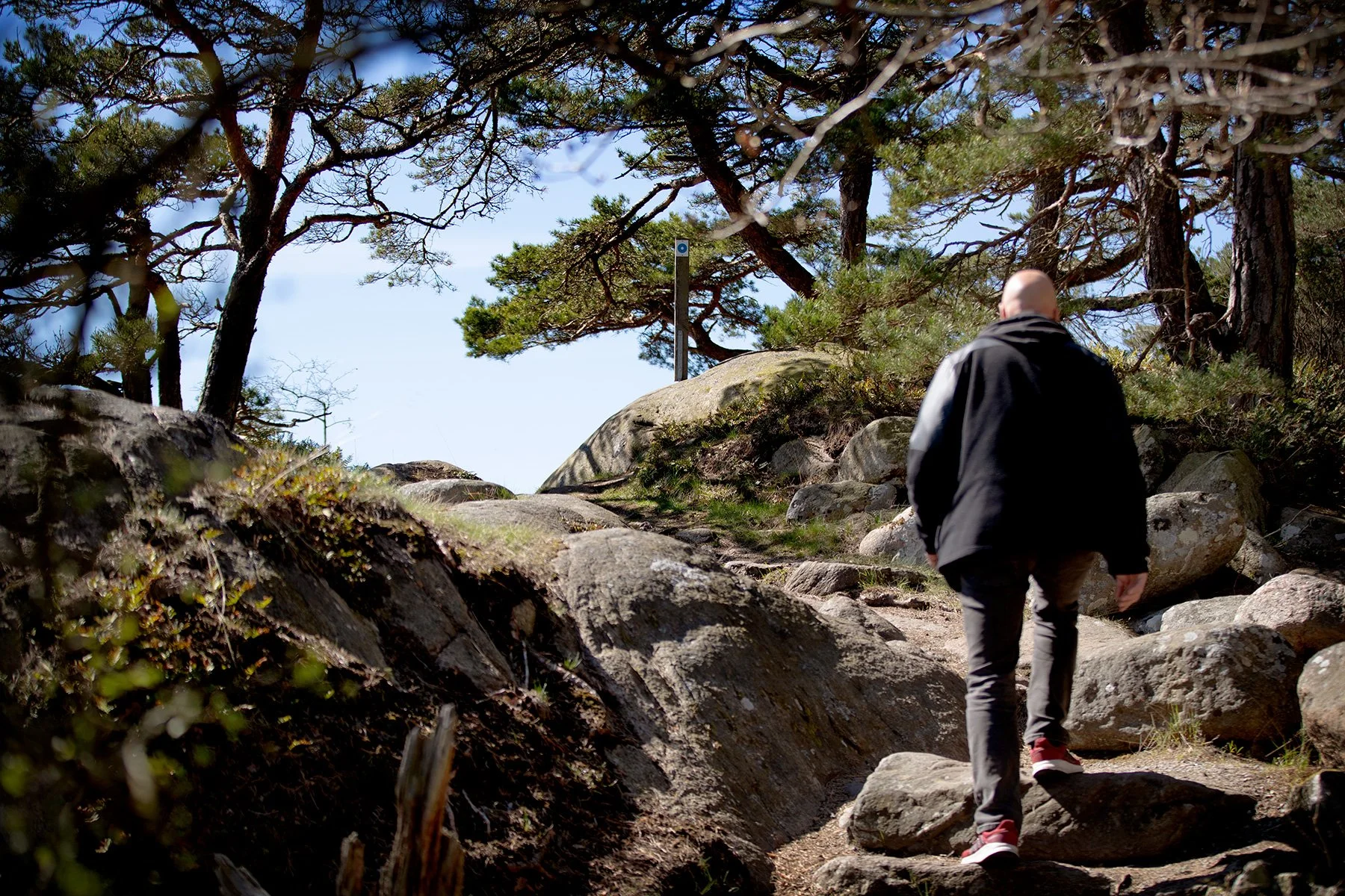 blogg-230428sarovasterskog12.jpg