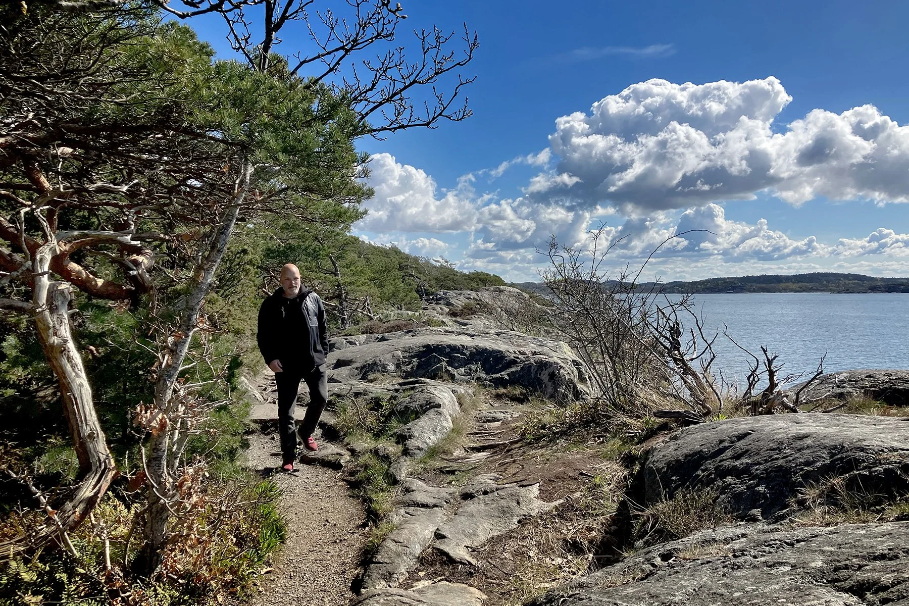 blogg-230428sarovasterskog14.jpg