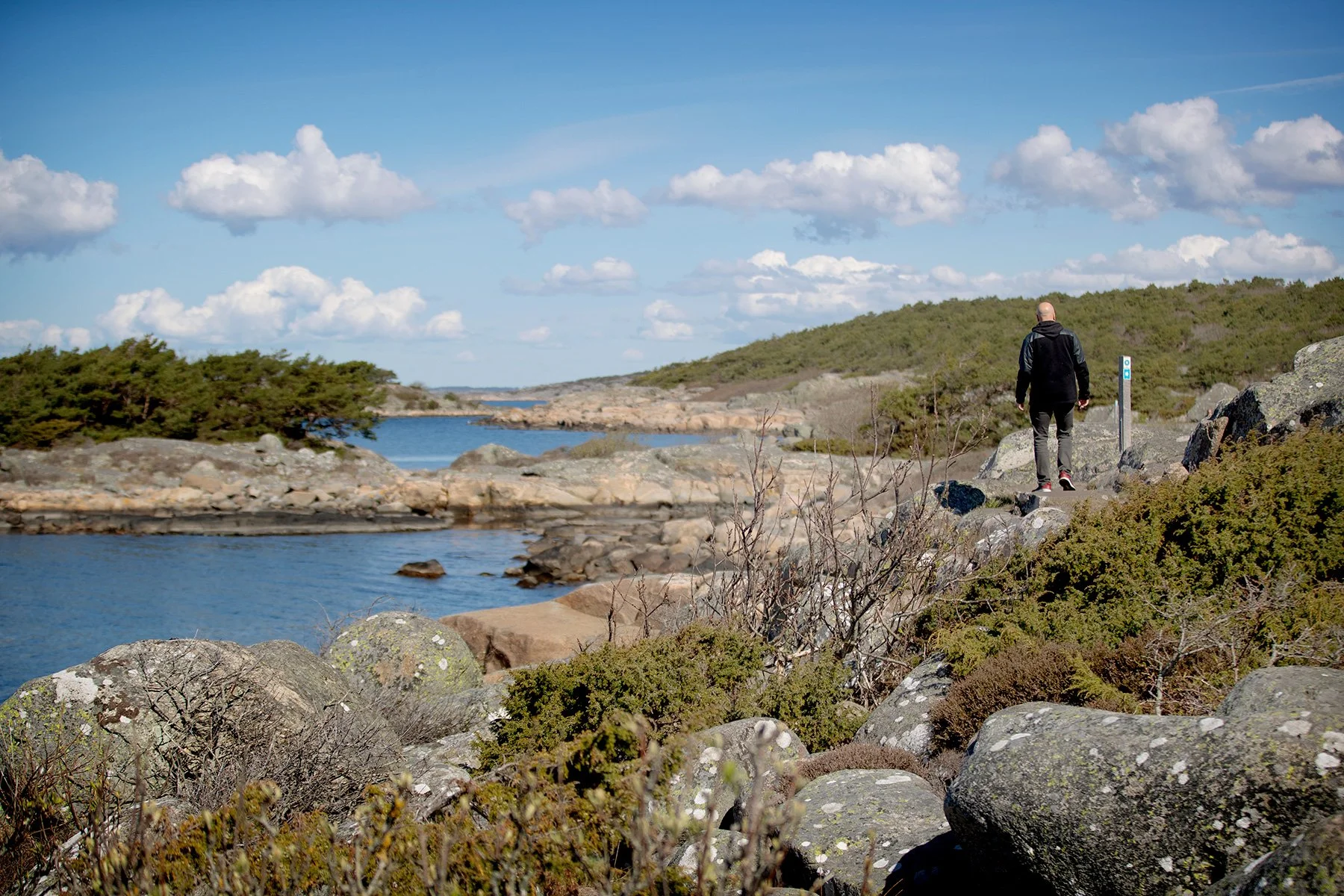 blogg-230428sarovasterskog16.jpg
