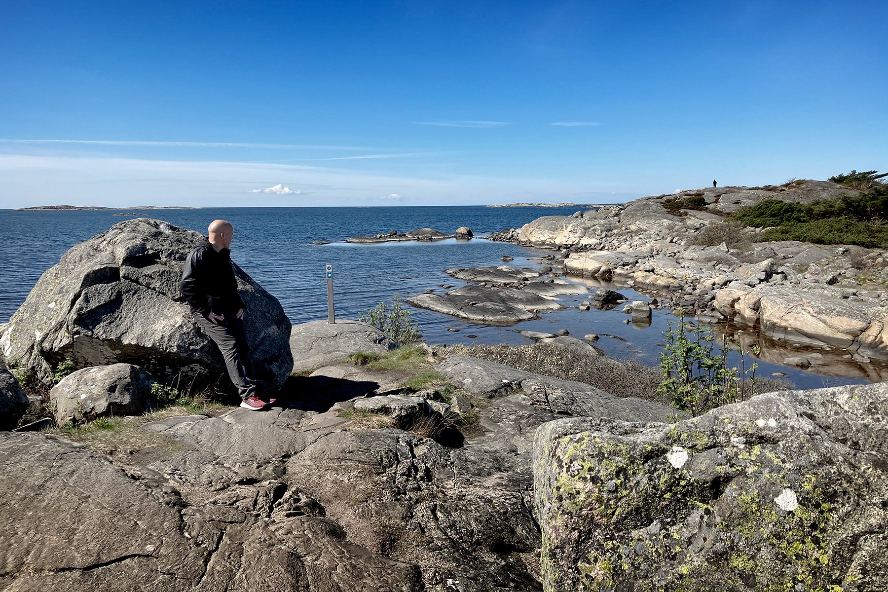 blogg-230428sarovasterskog18.jpg