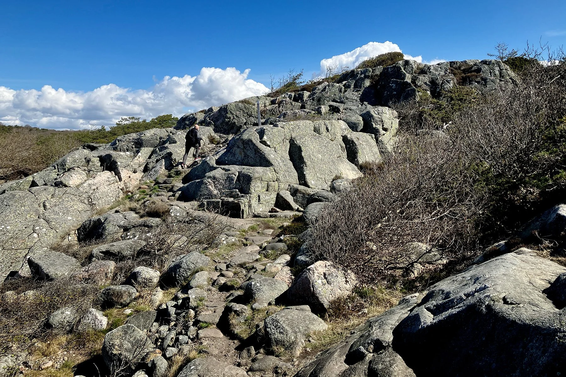 blogg-230428sarovasterskog21.jpg