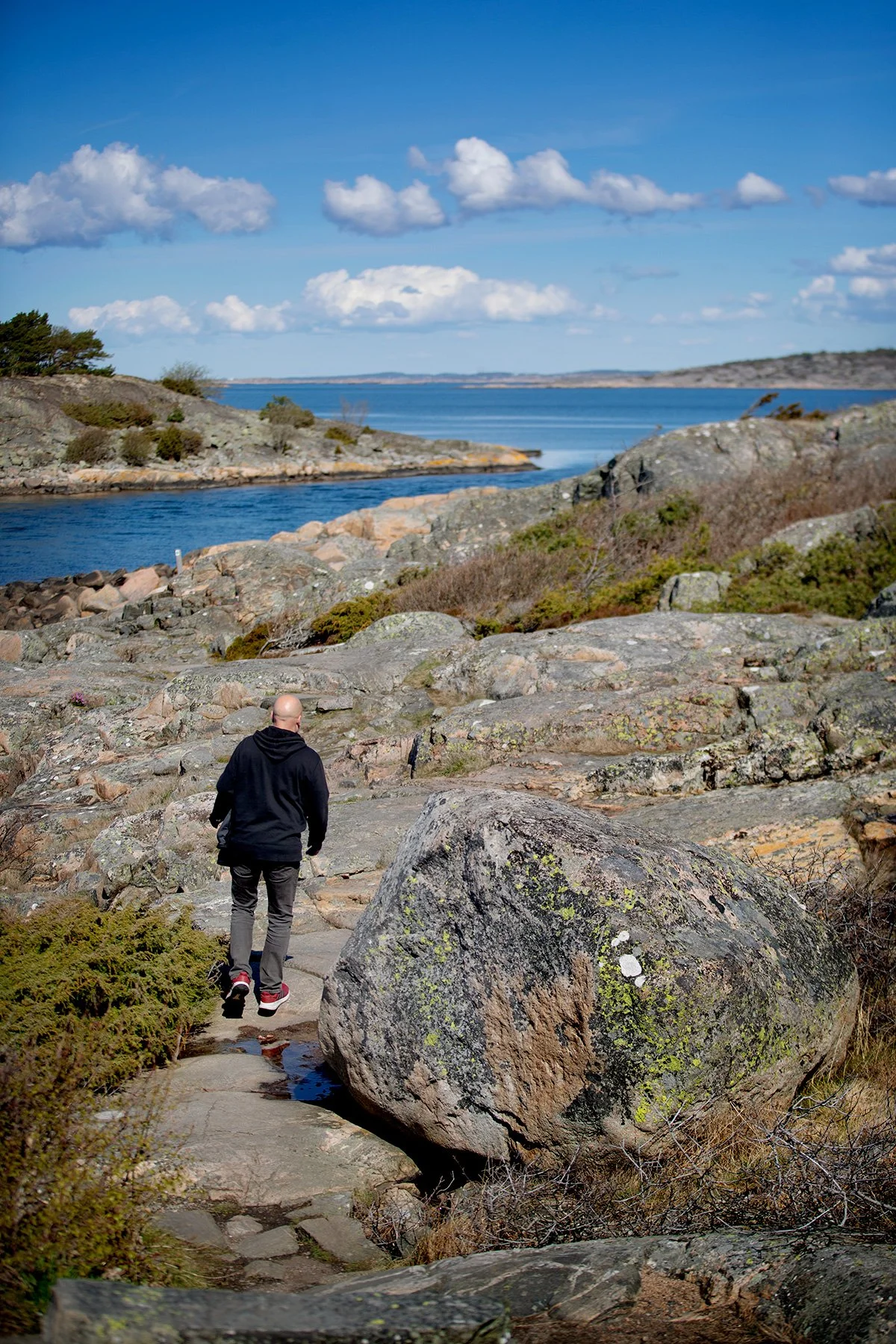 blogg-230428sarovasterskog23.jpg
