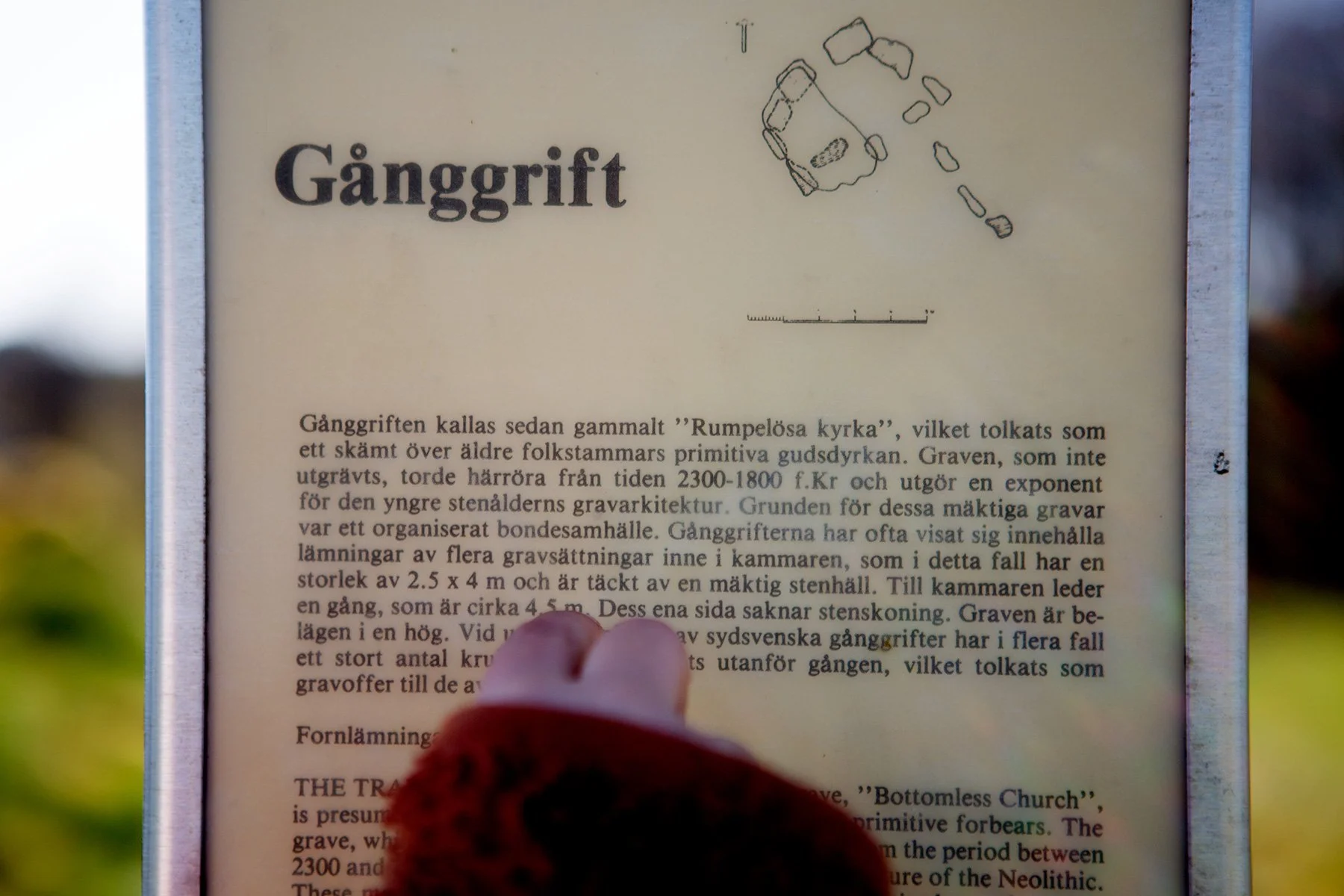 blogg-230429rumpelosabacksippor15.jpg