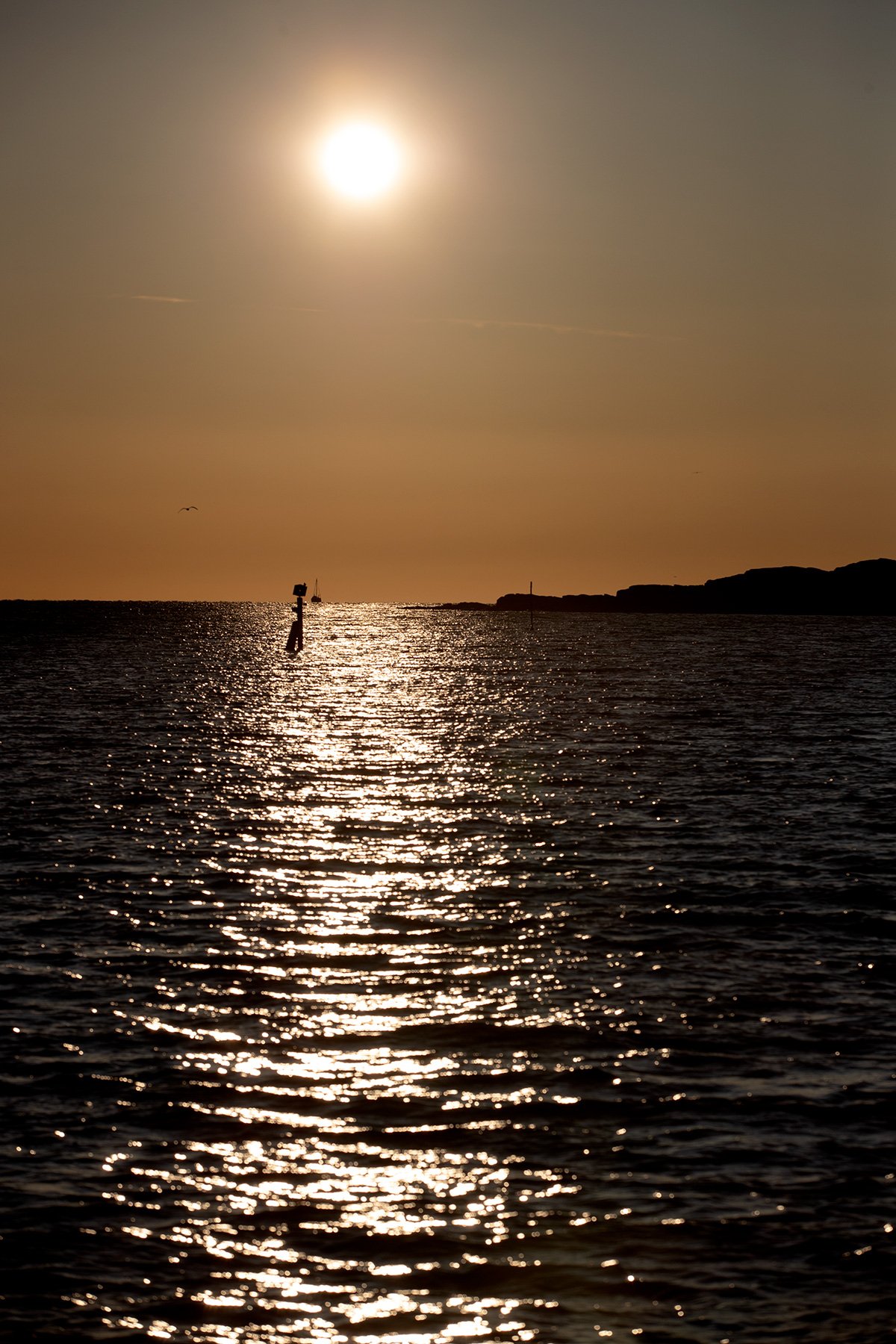 blogg-230503sjosattning38.jpg