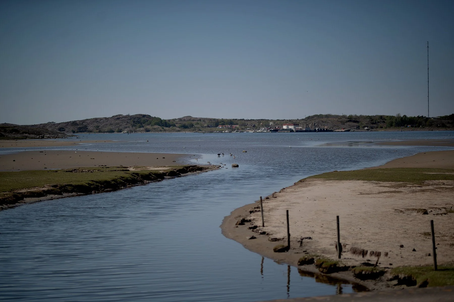 blogg-230512triftvidava1.jpg