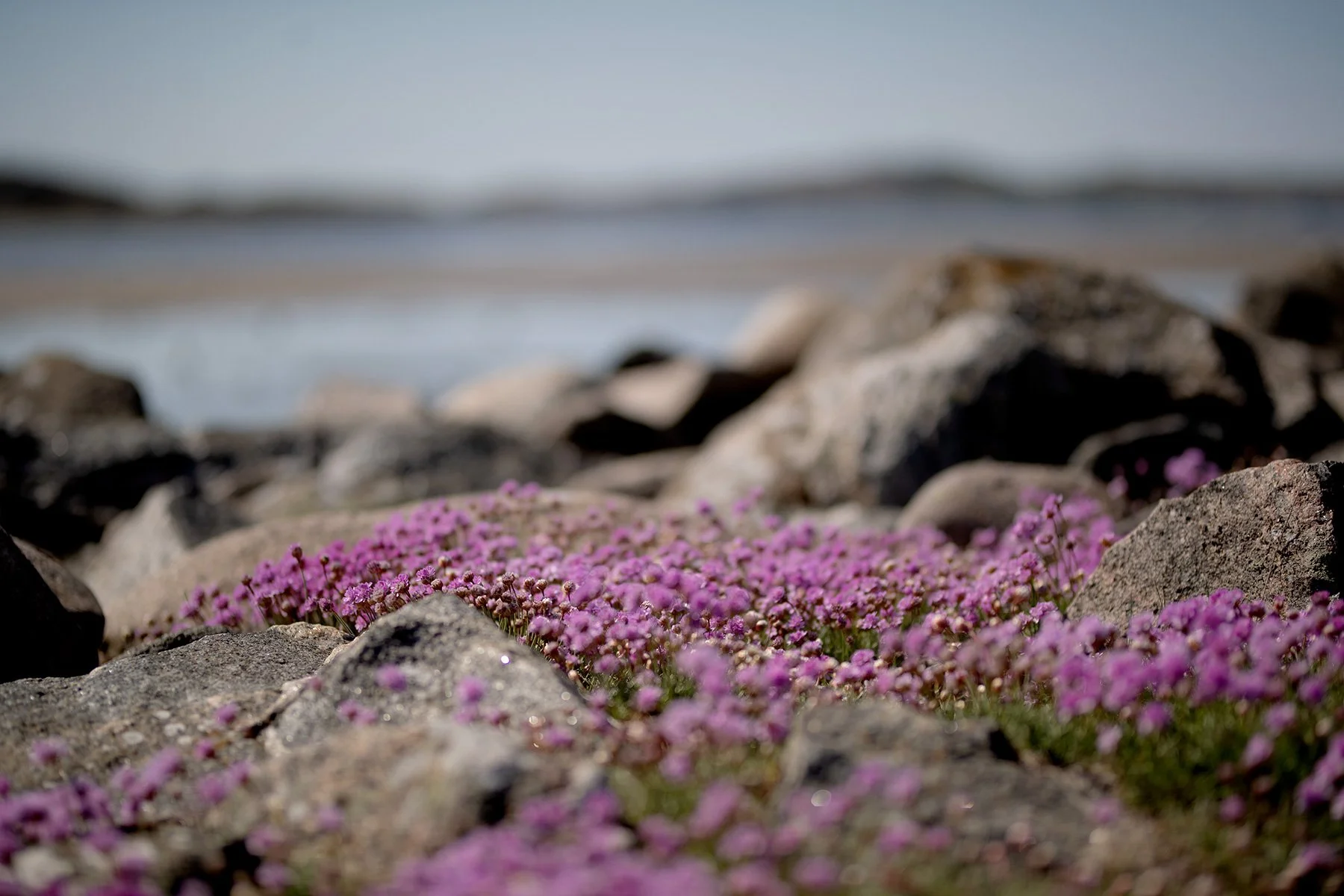 blogg-230512triftvidava3.jpg