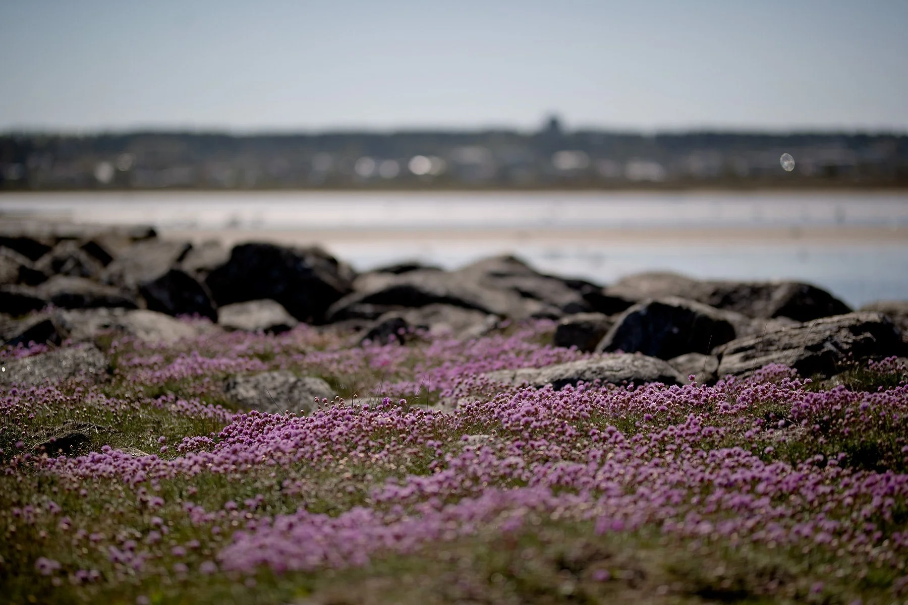 blogg-230512triftvidava7.jpg