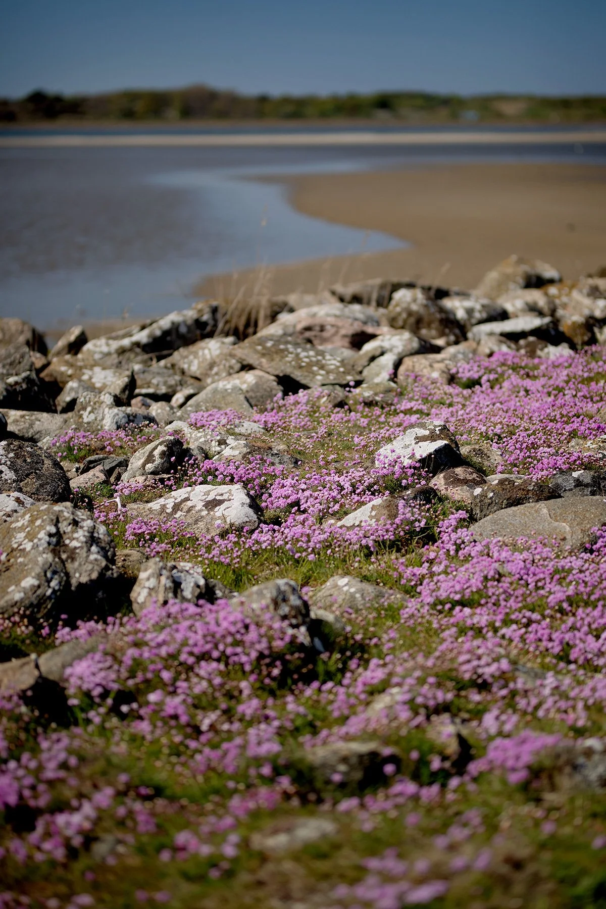 blogg-230512triftvidava8.jpg