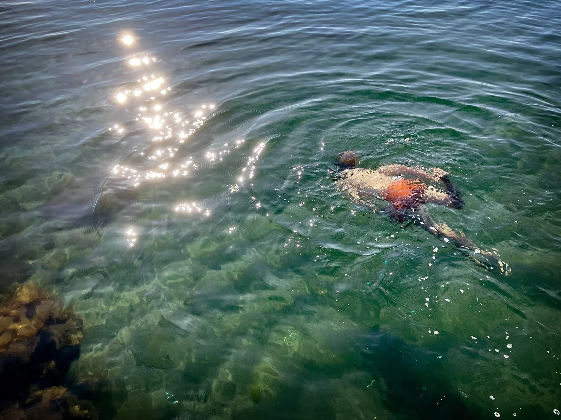 blogg-230606bertilsnorklar3.jpg