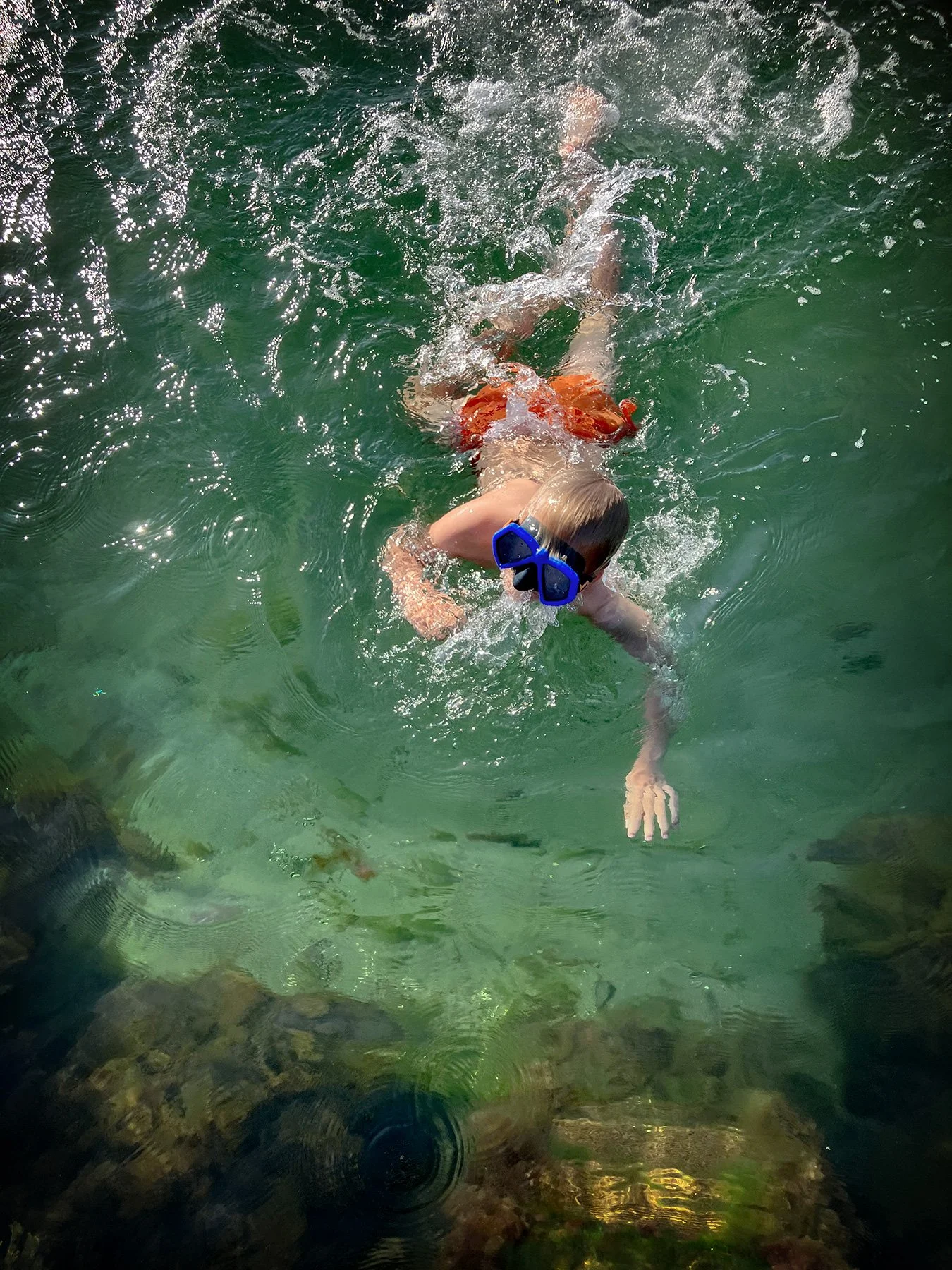 blogg-230606bertilsnorklar6.jpg