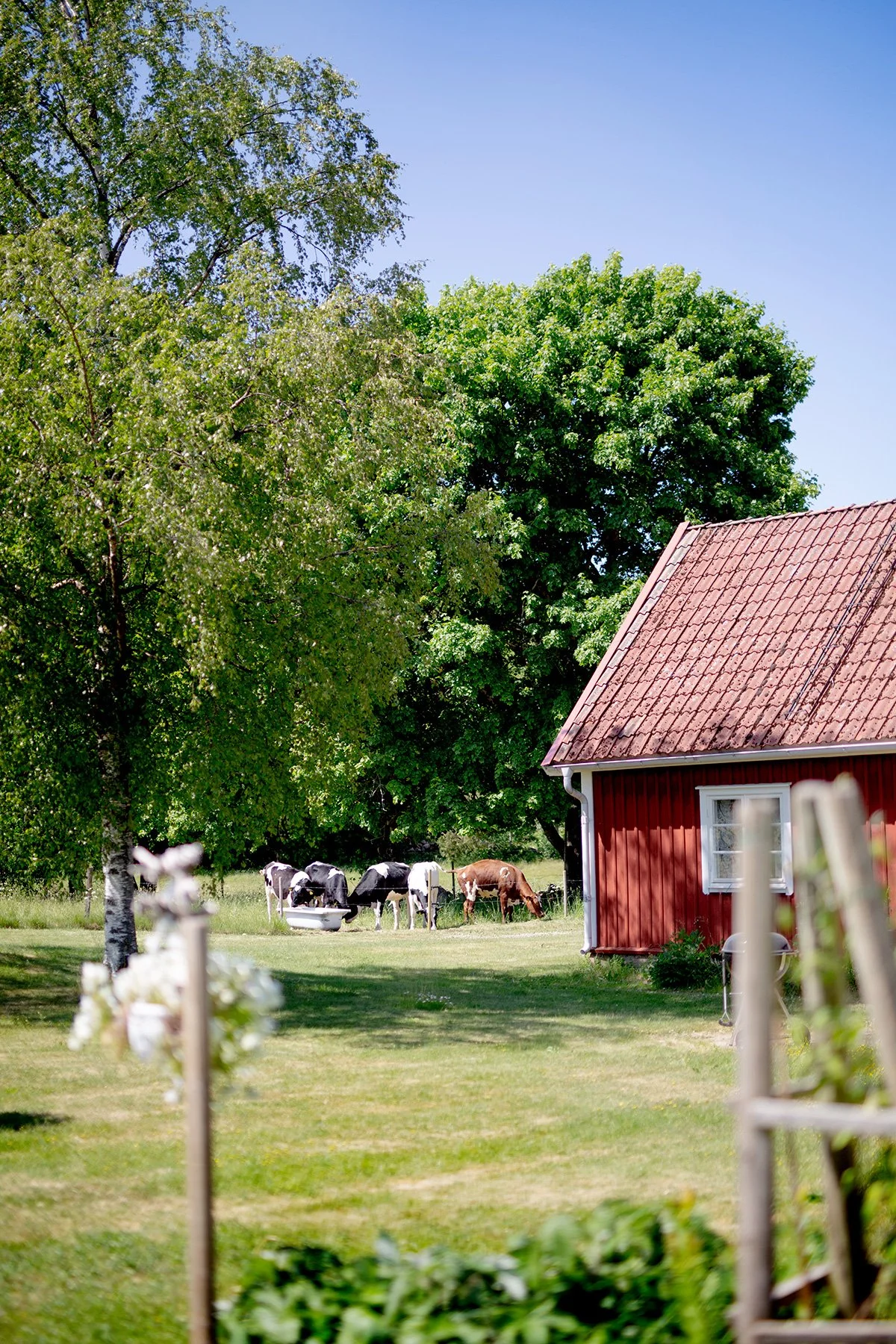 blogg-230611ullaochthord1.jpg