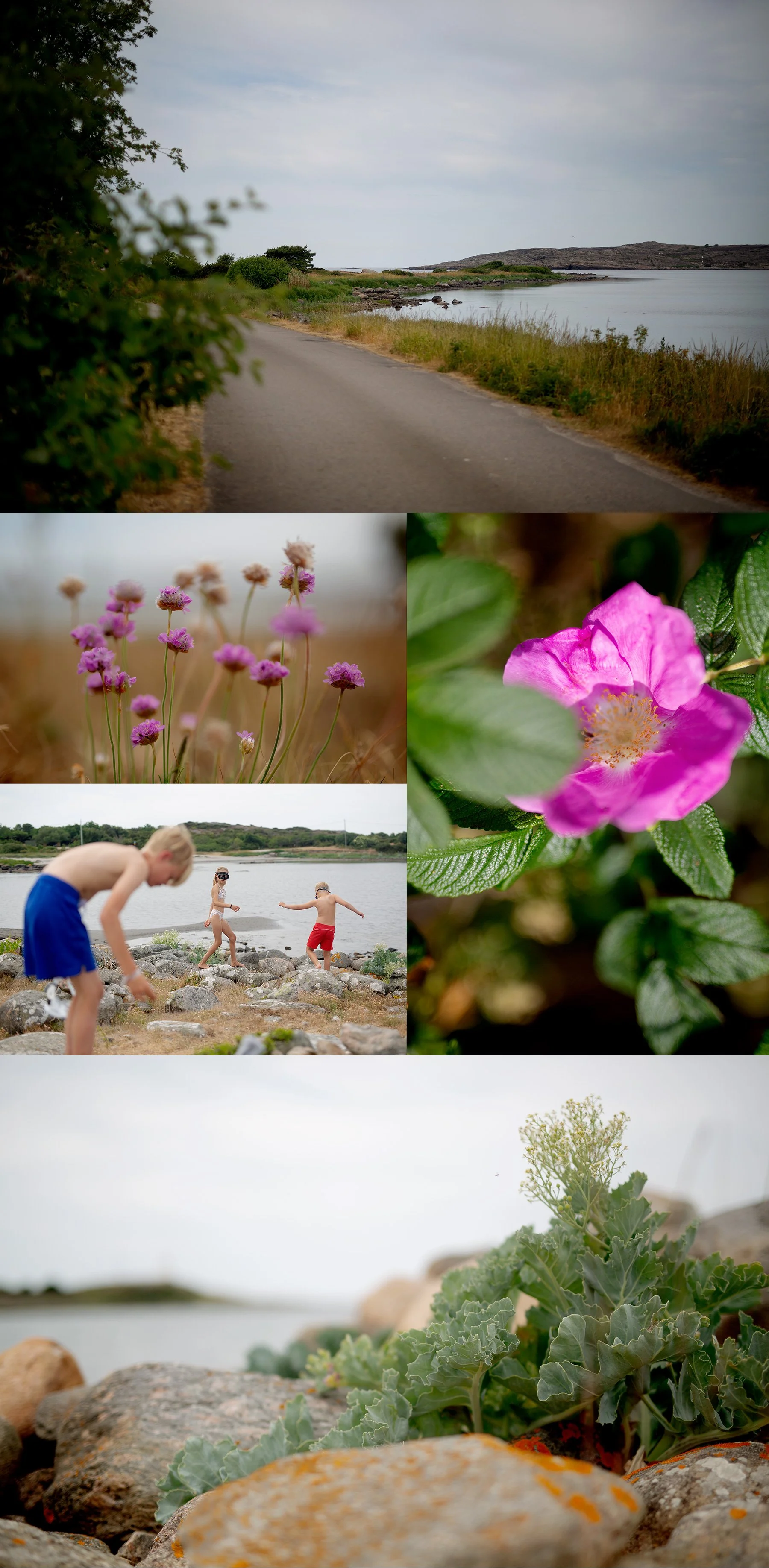 Badvakt bland blommor