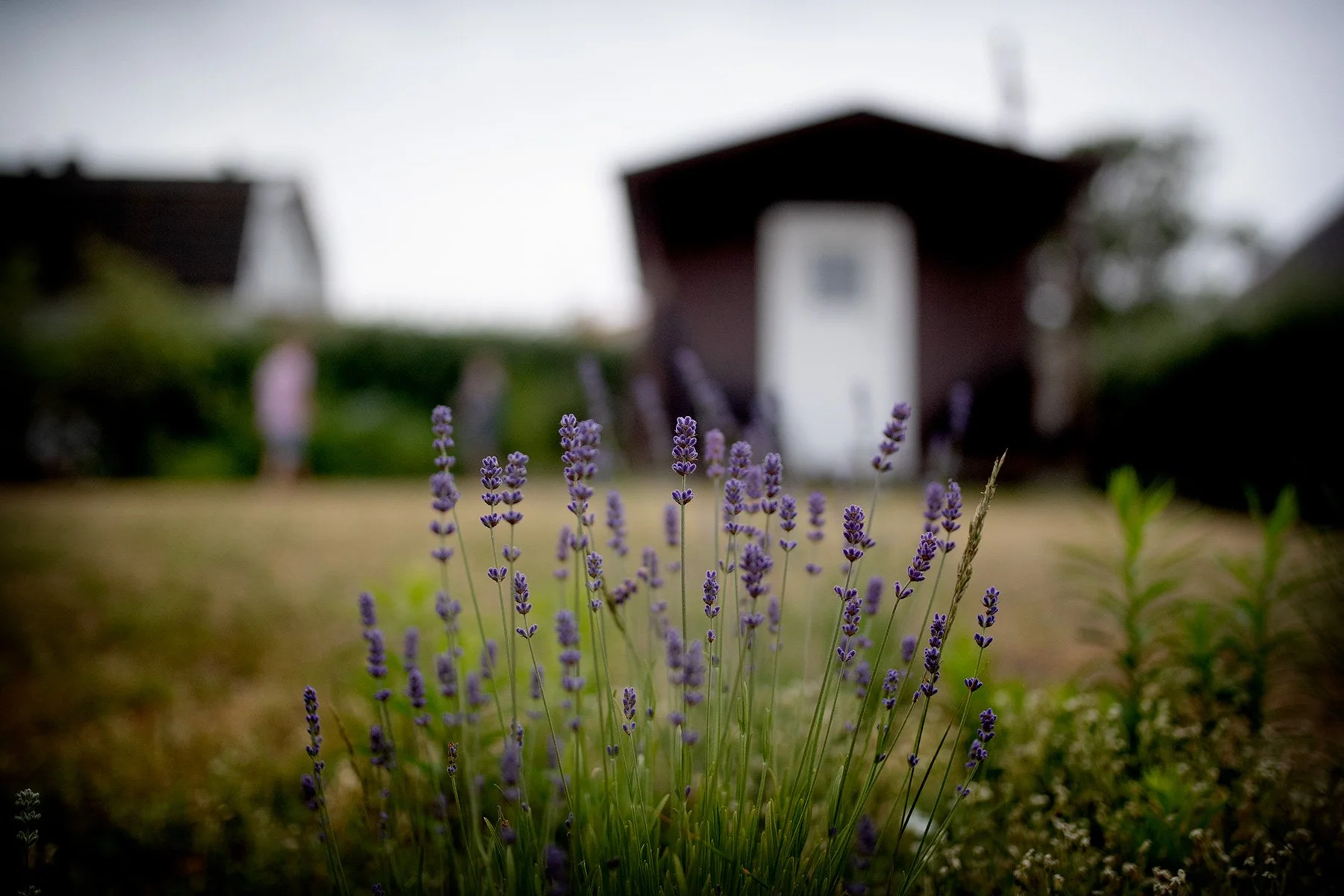 blogg-230621tradgardslek5.jpg