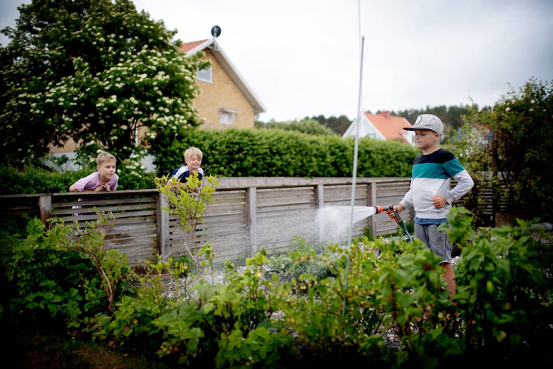 blogg-230621bertilvattnarhoskim.jpg