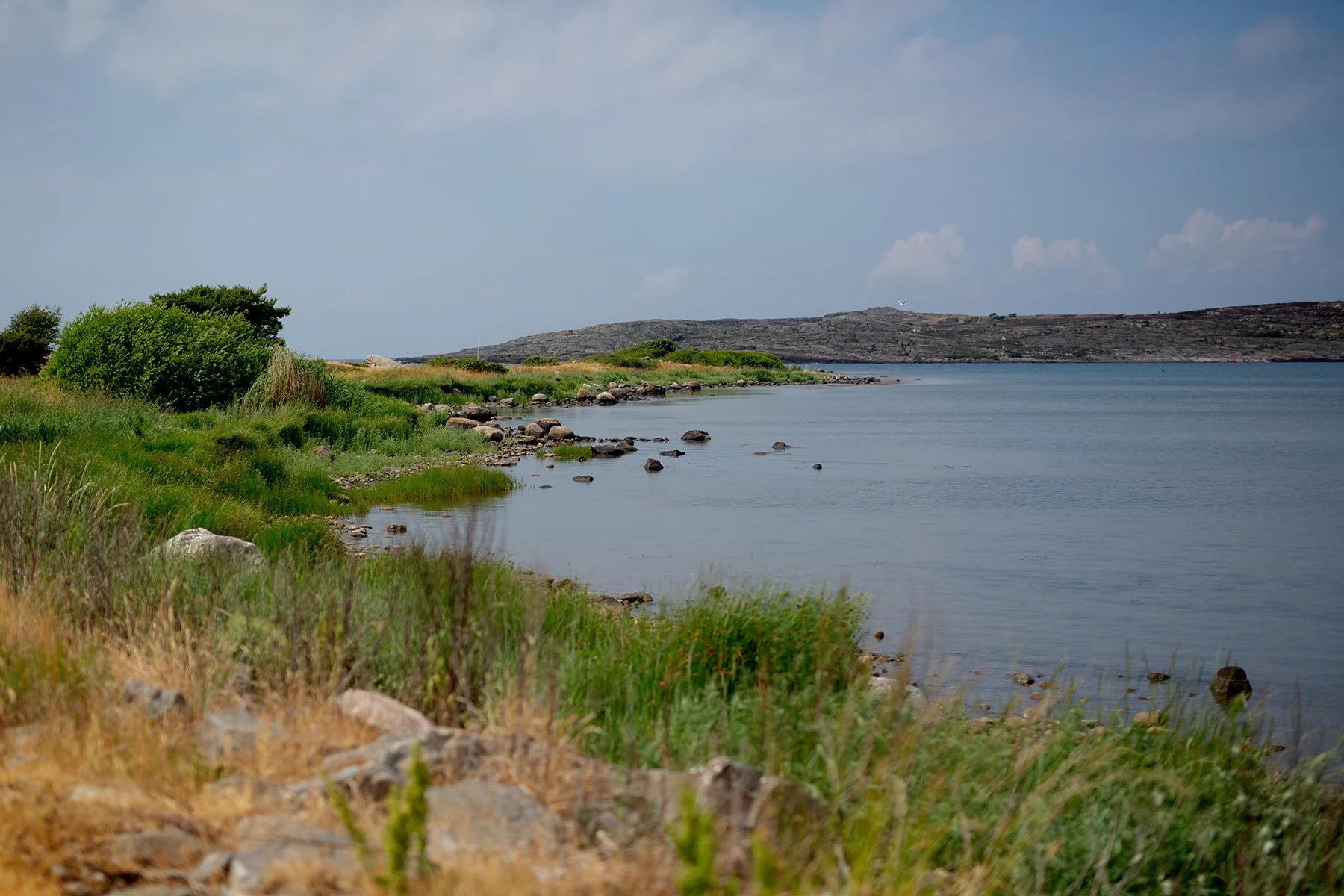 blogg-230622liambertilrubenbadar1.jpg