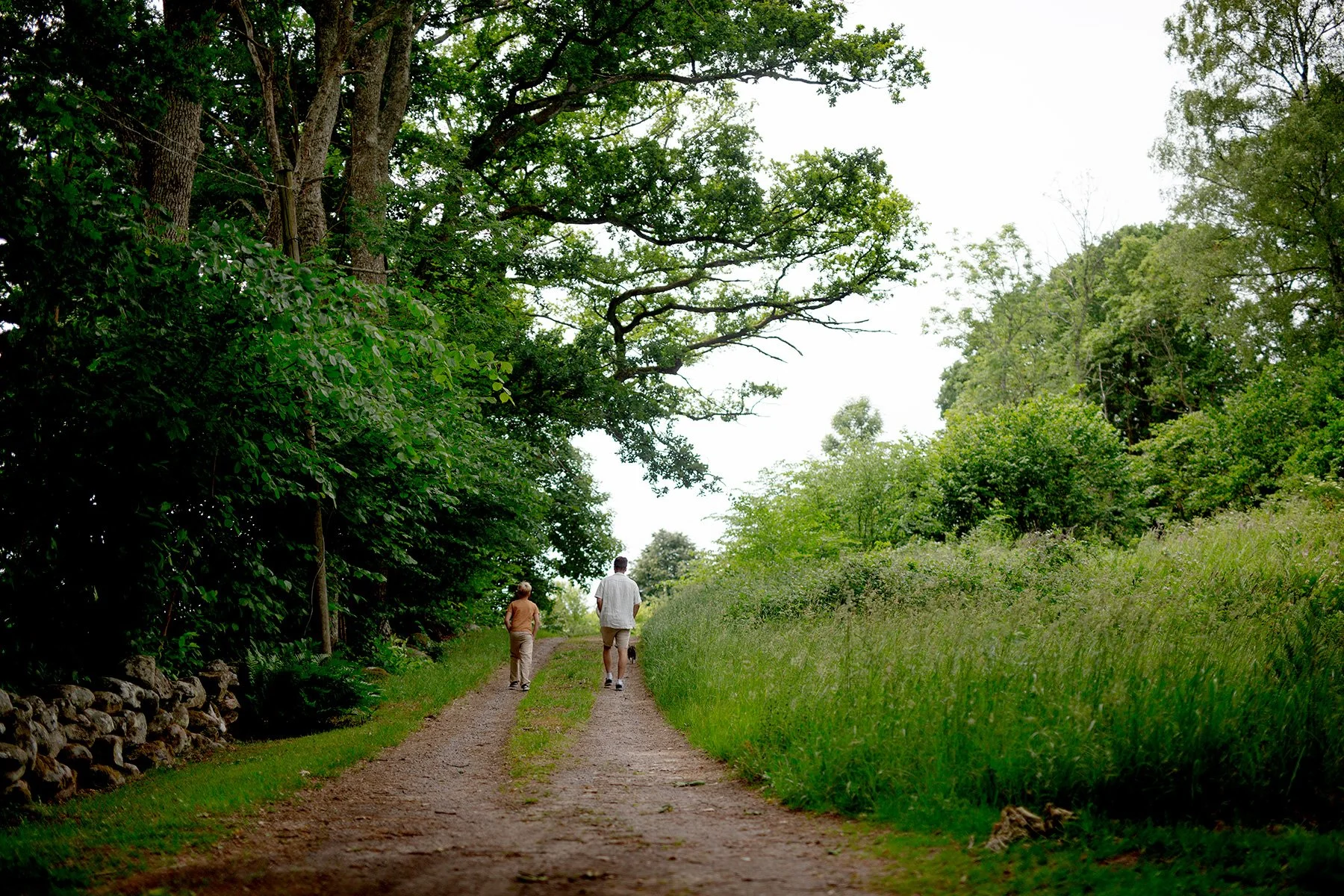 blogg-230623midsommarambjorntorp12.jpg