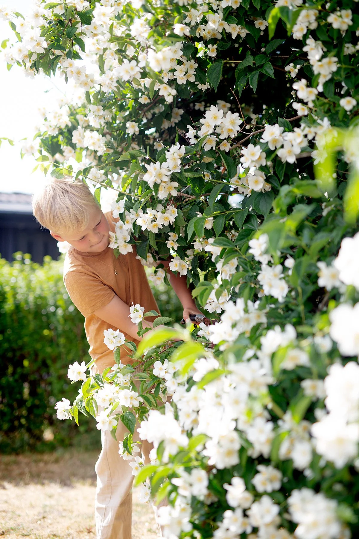 blogg-230623midsommarnordsvahn1.jpg
